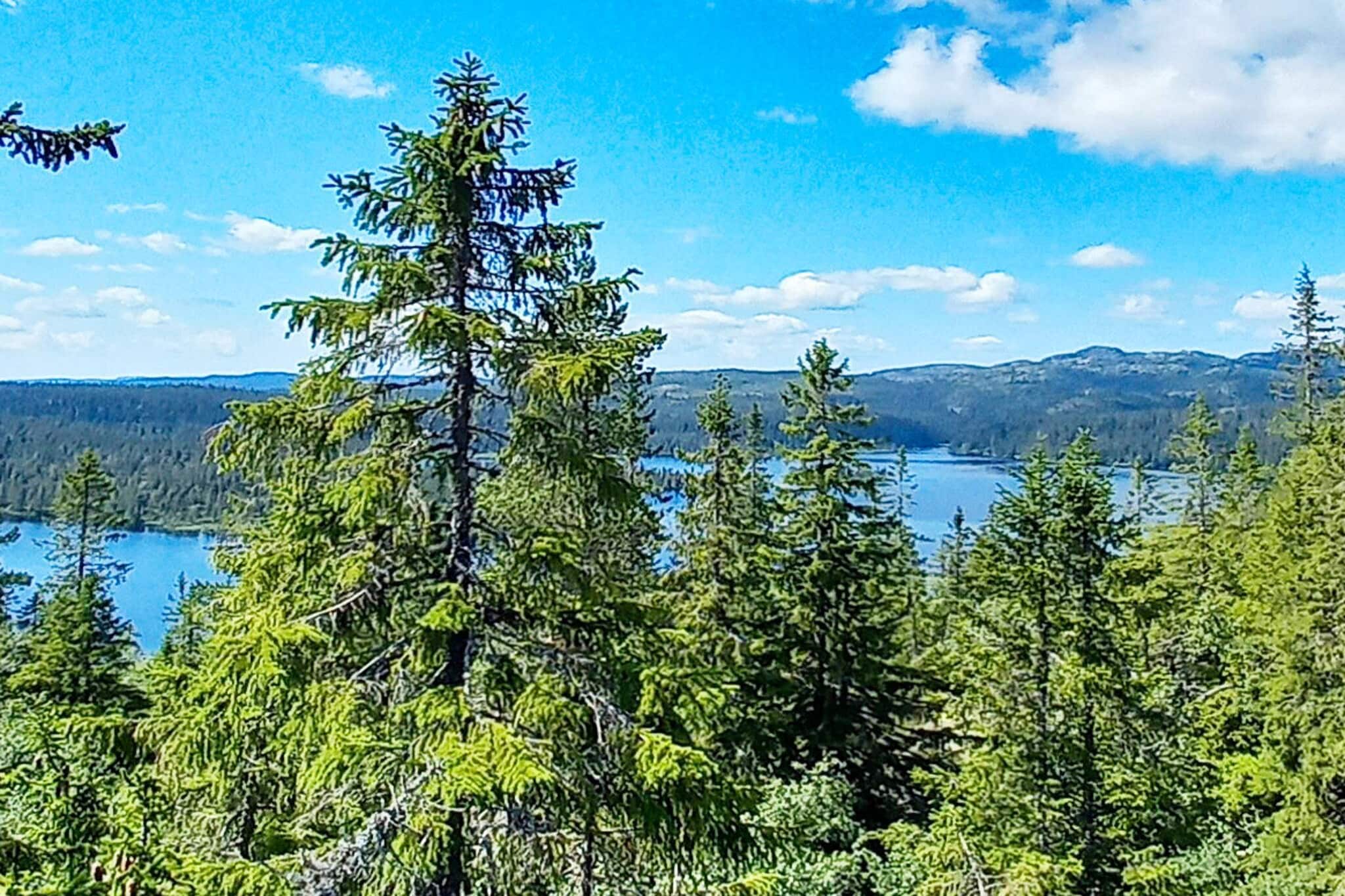 6 person holiday home in Passebekk-By Traum - Water view