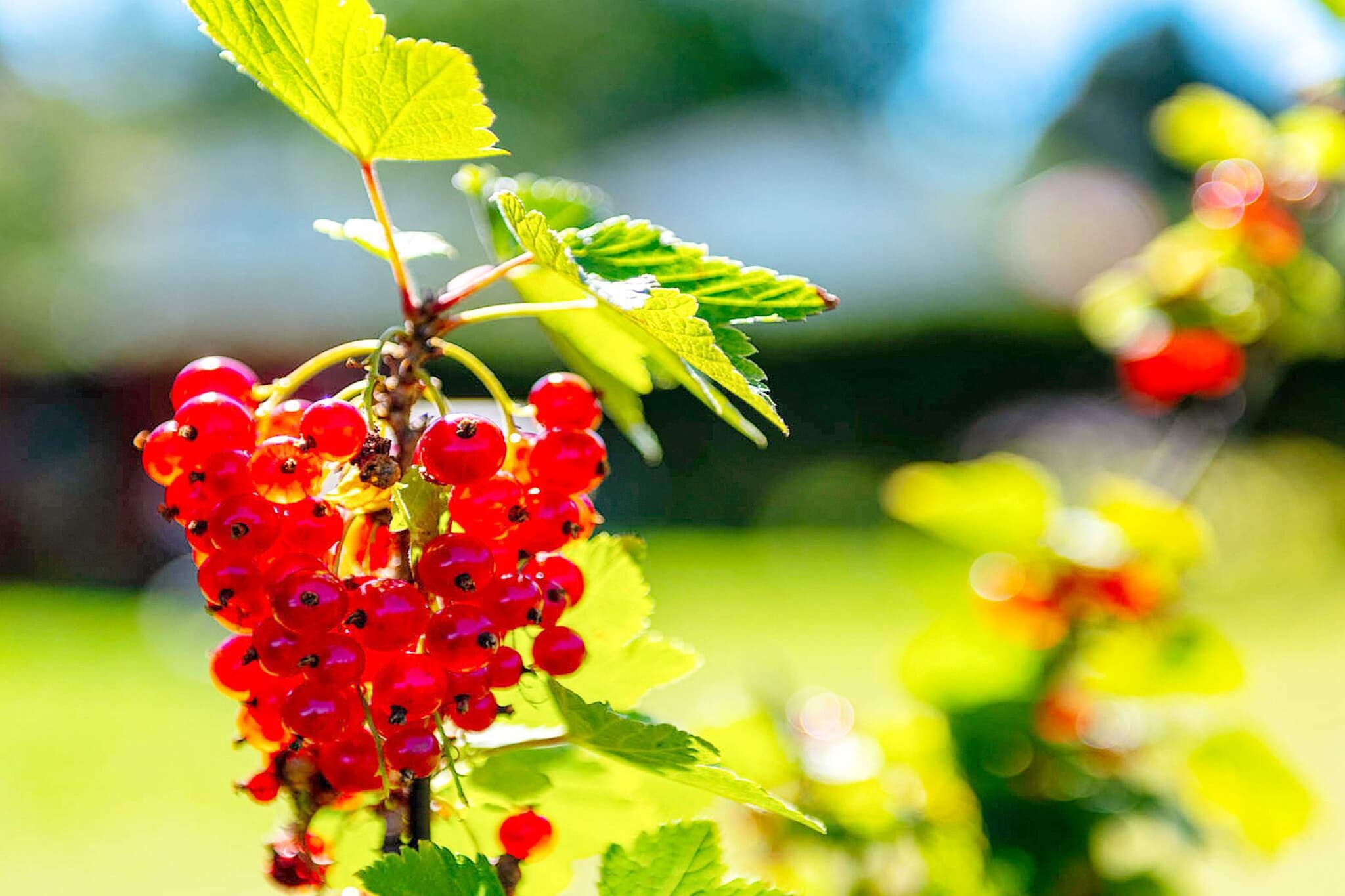 6 person holiday home in Sandefjord-By Traum