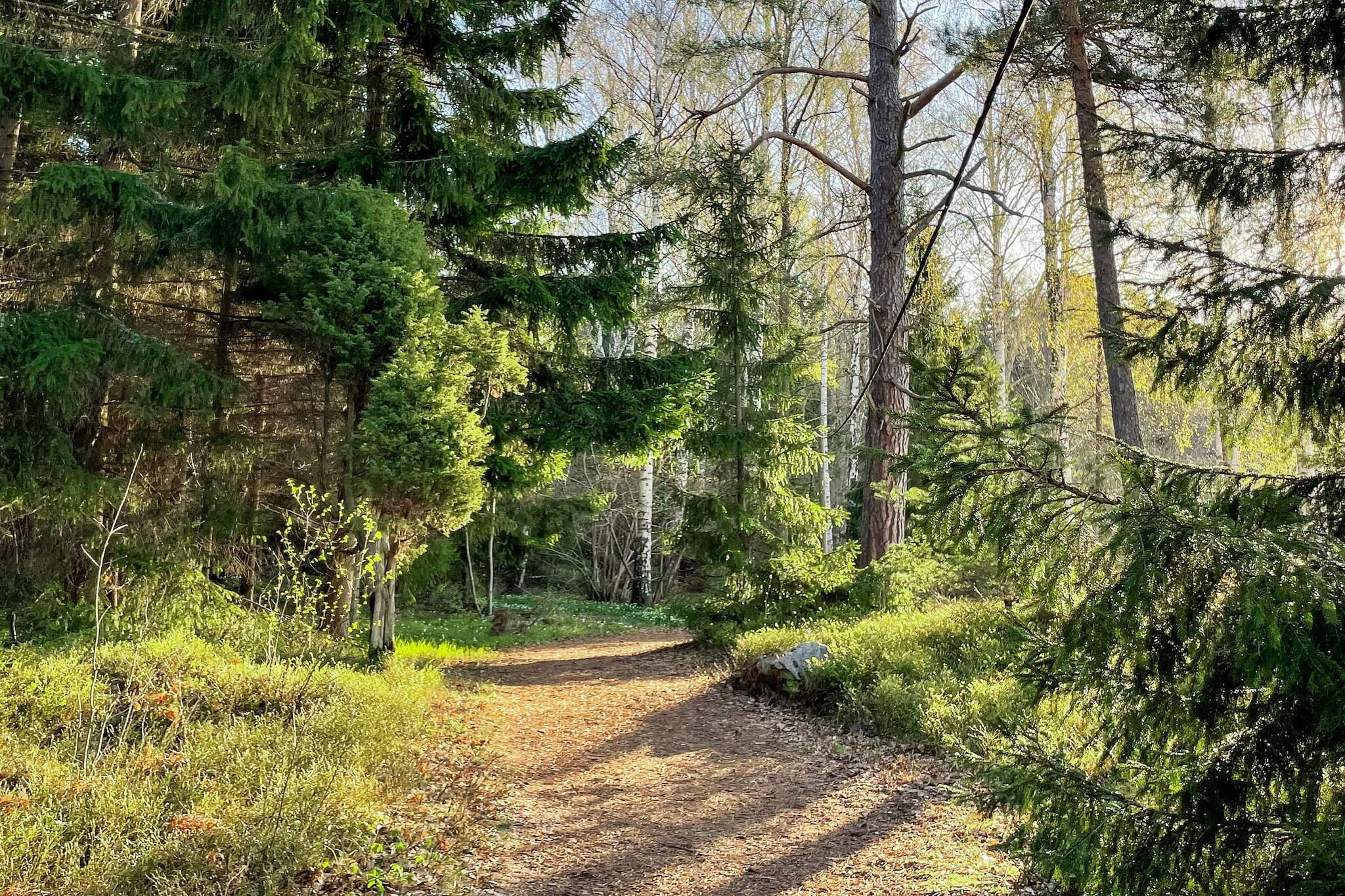 4 persoons vakantie huis in NORRTÄLJE-By Traum-Niet-getagd