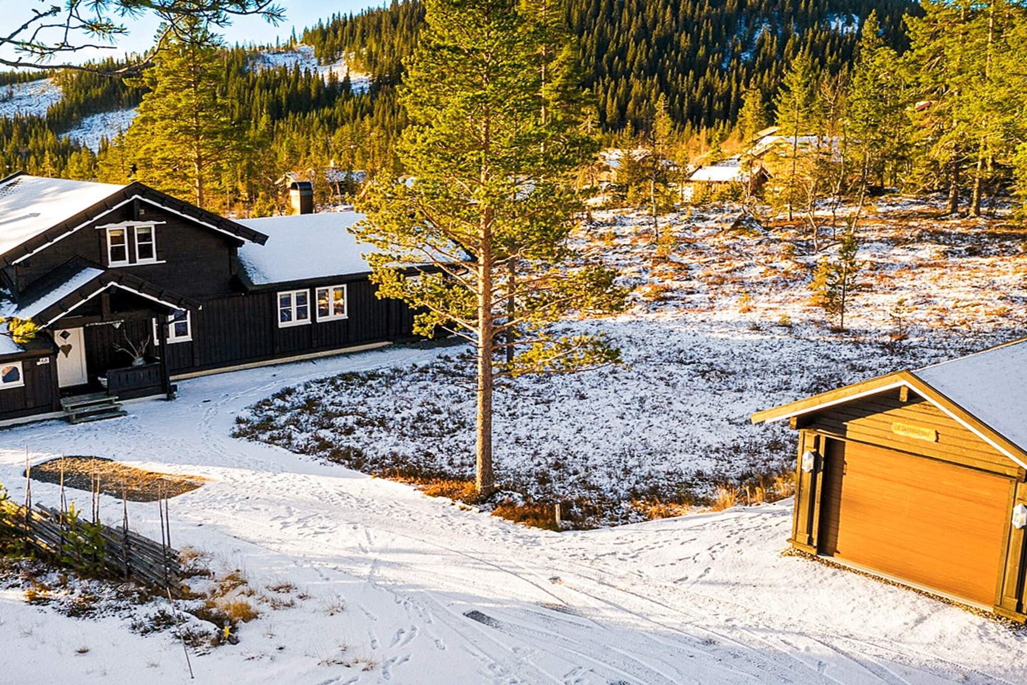 10 persoons vakantie huis in veggli-By Traum - Buitenlucht