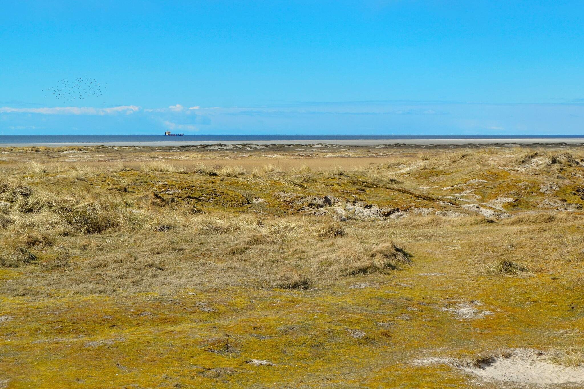 4 Personen Ferienhaus in Fanø-By Traum