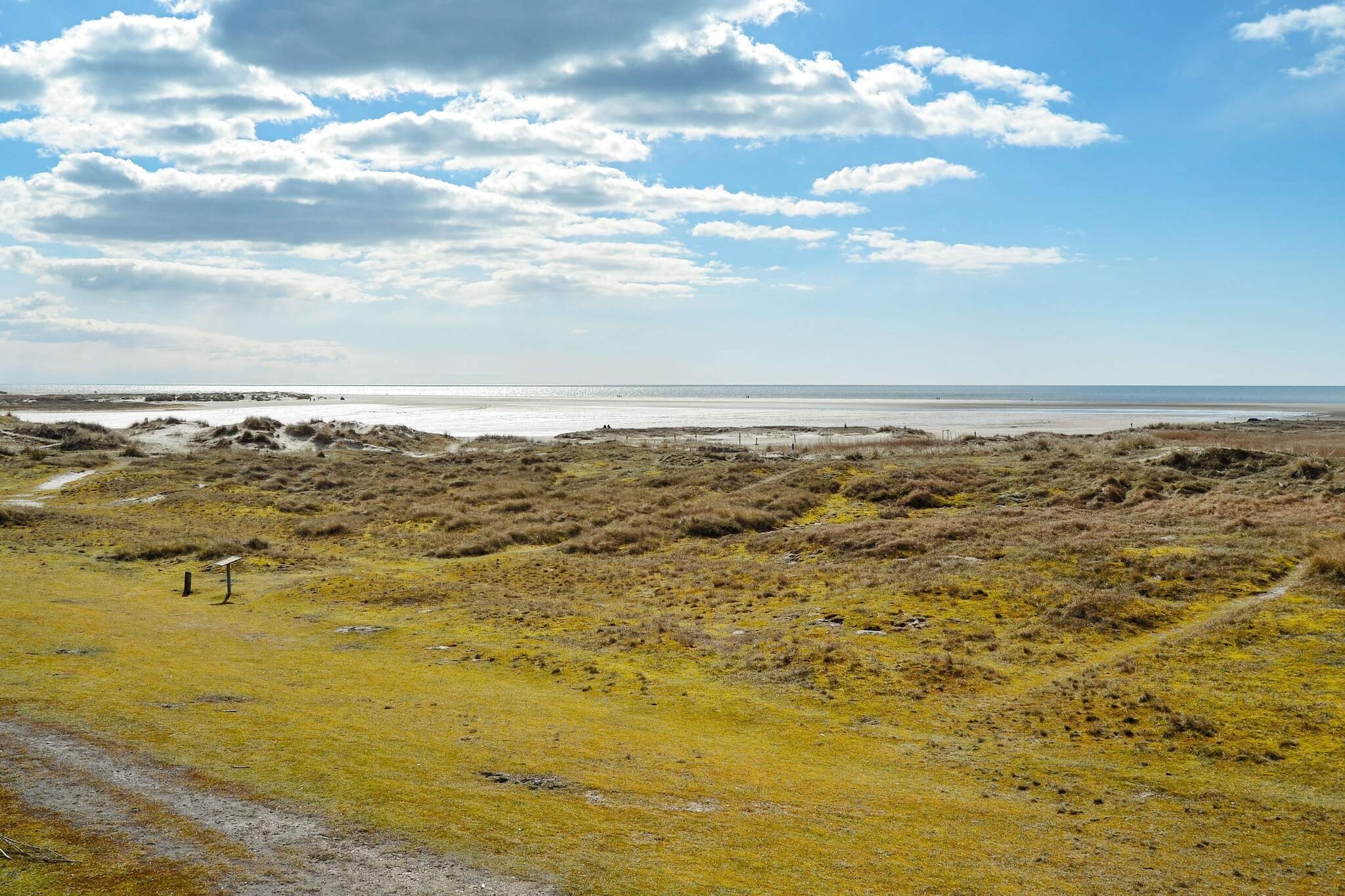 4 Personen Ferienhaus in Fanø-By Traum