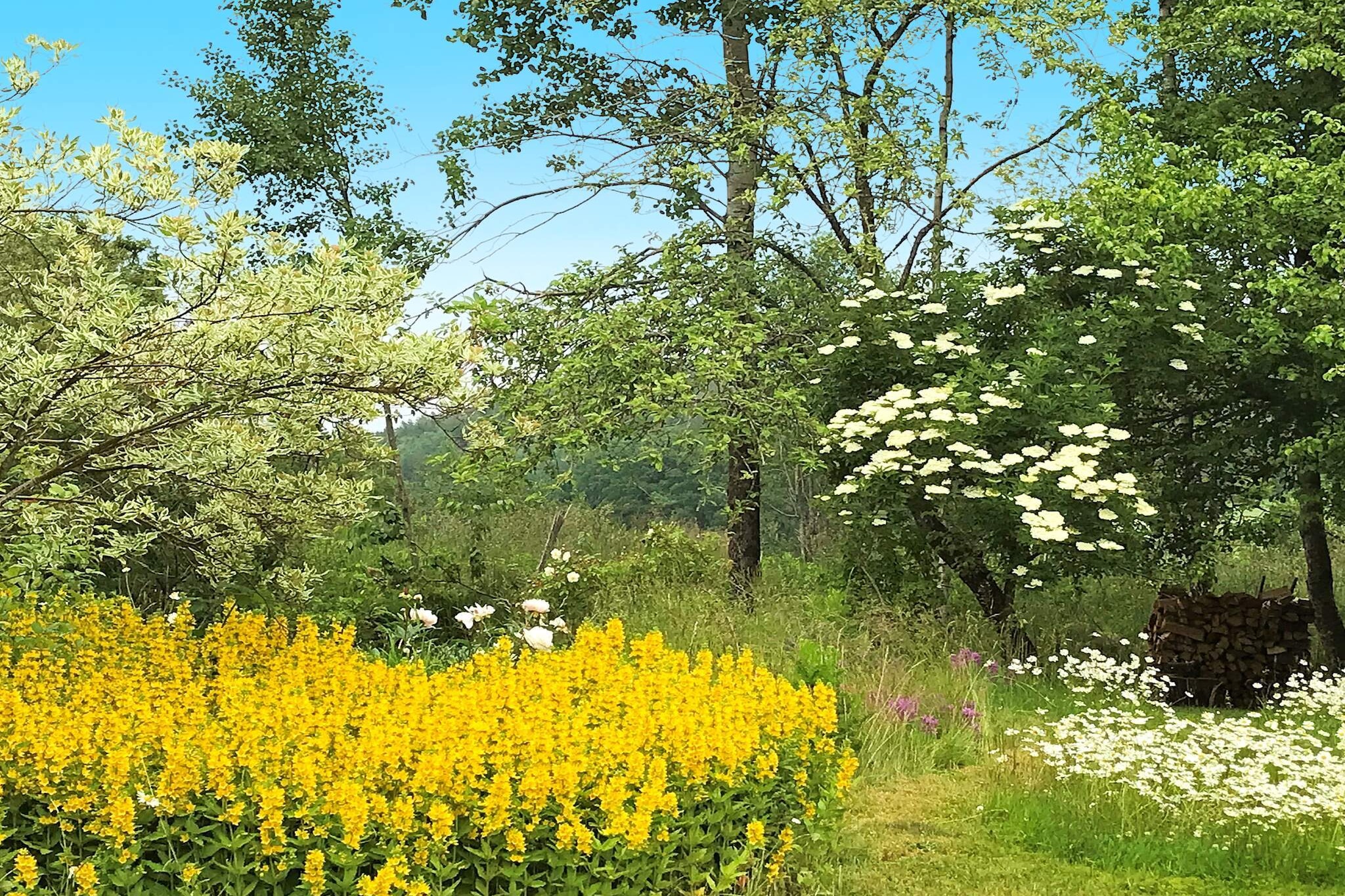 Cozy Cottage near Lake and Sea