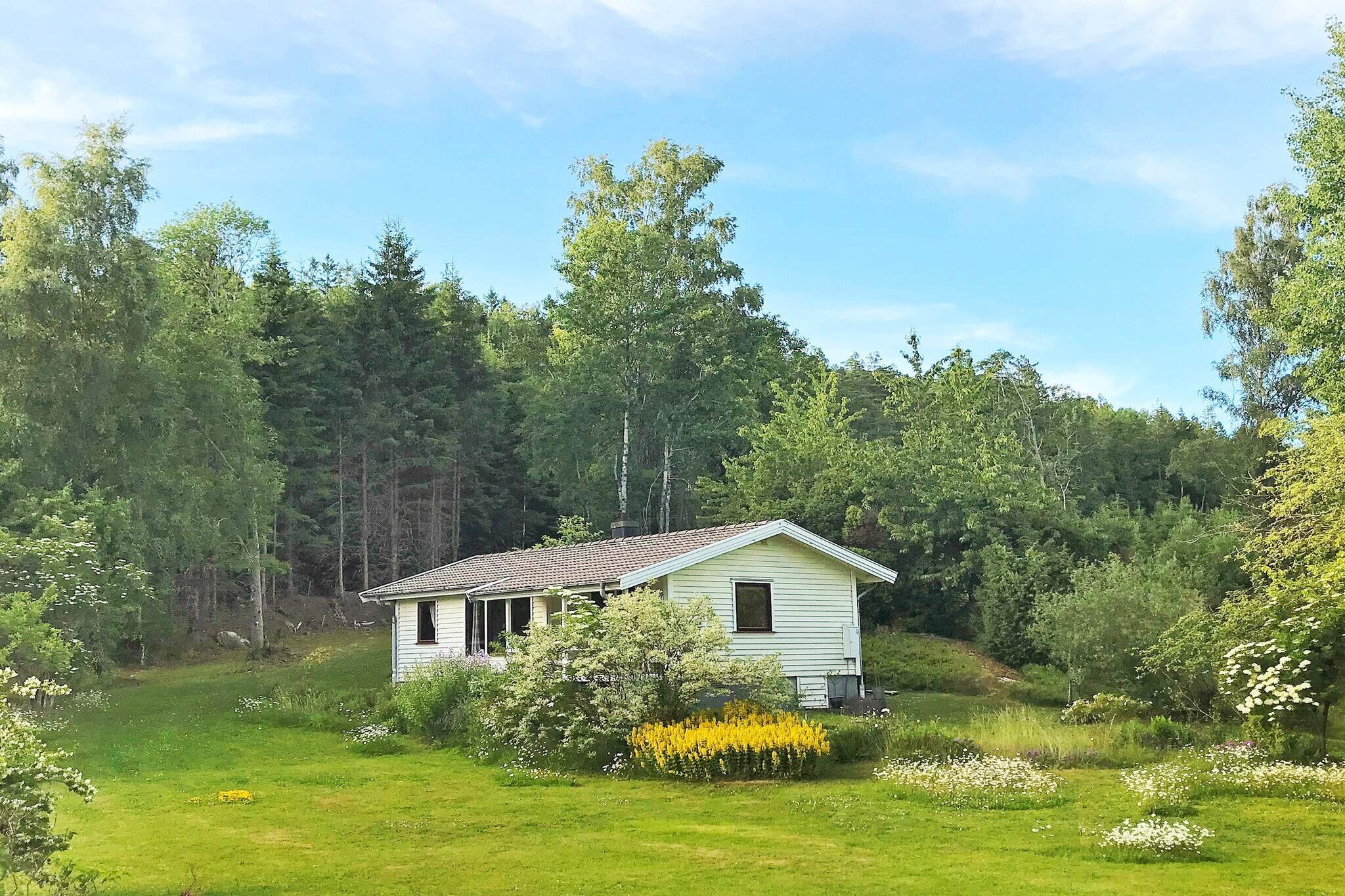 Cozy Cottage near Lake and Sea - Outdoor
