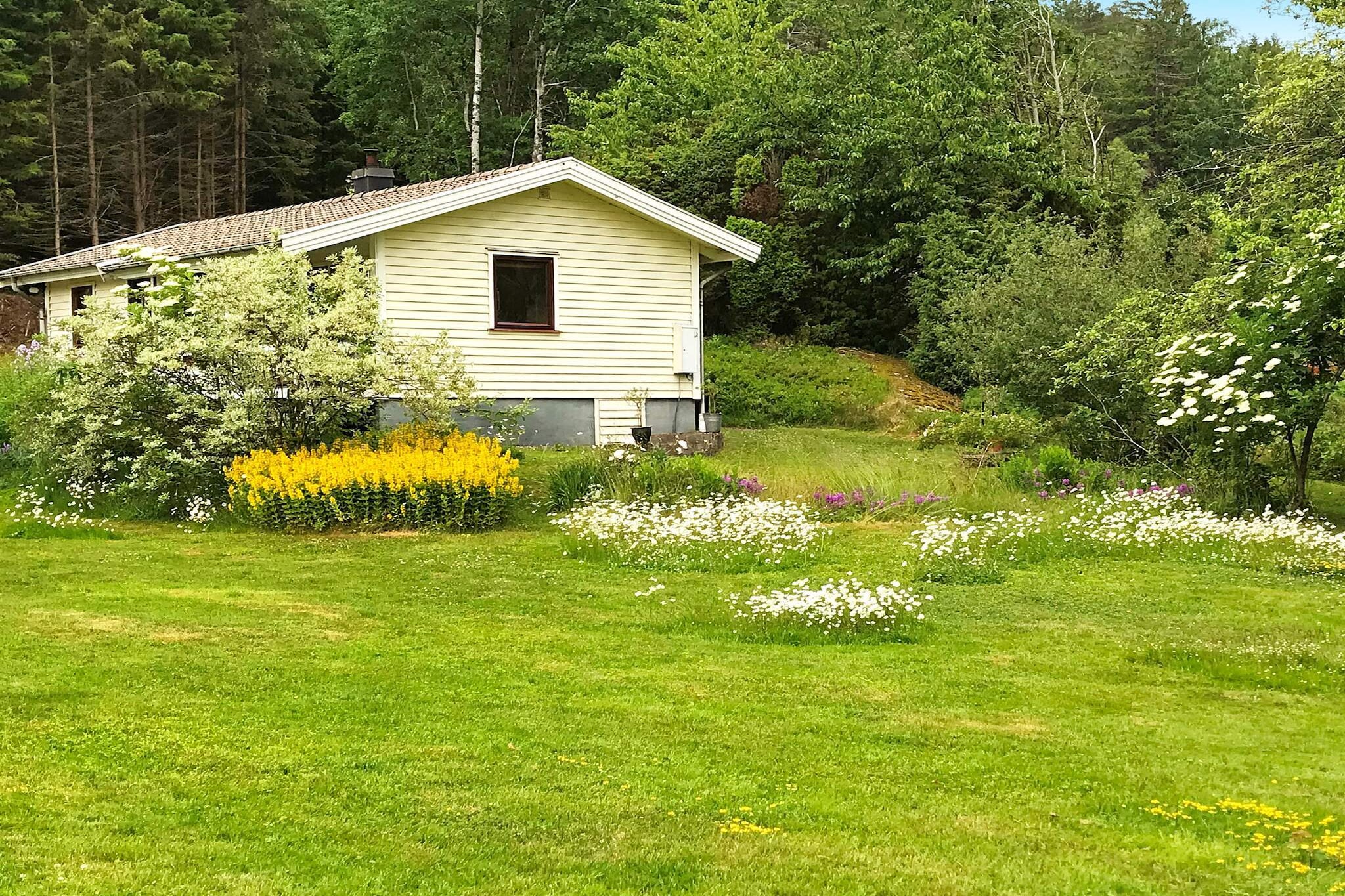 Cozy Cottage near Lake and Sea - Outdoor