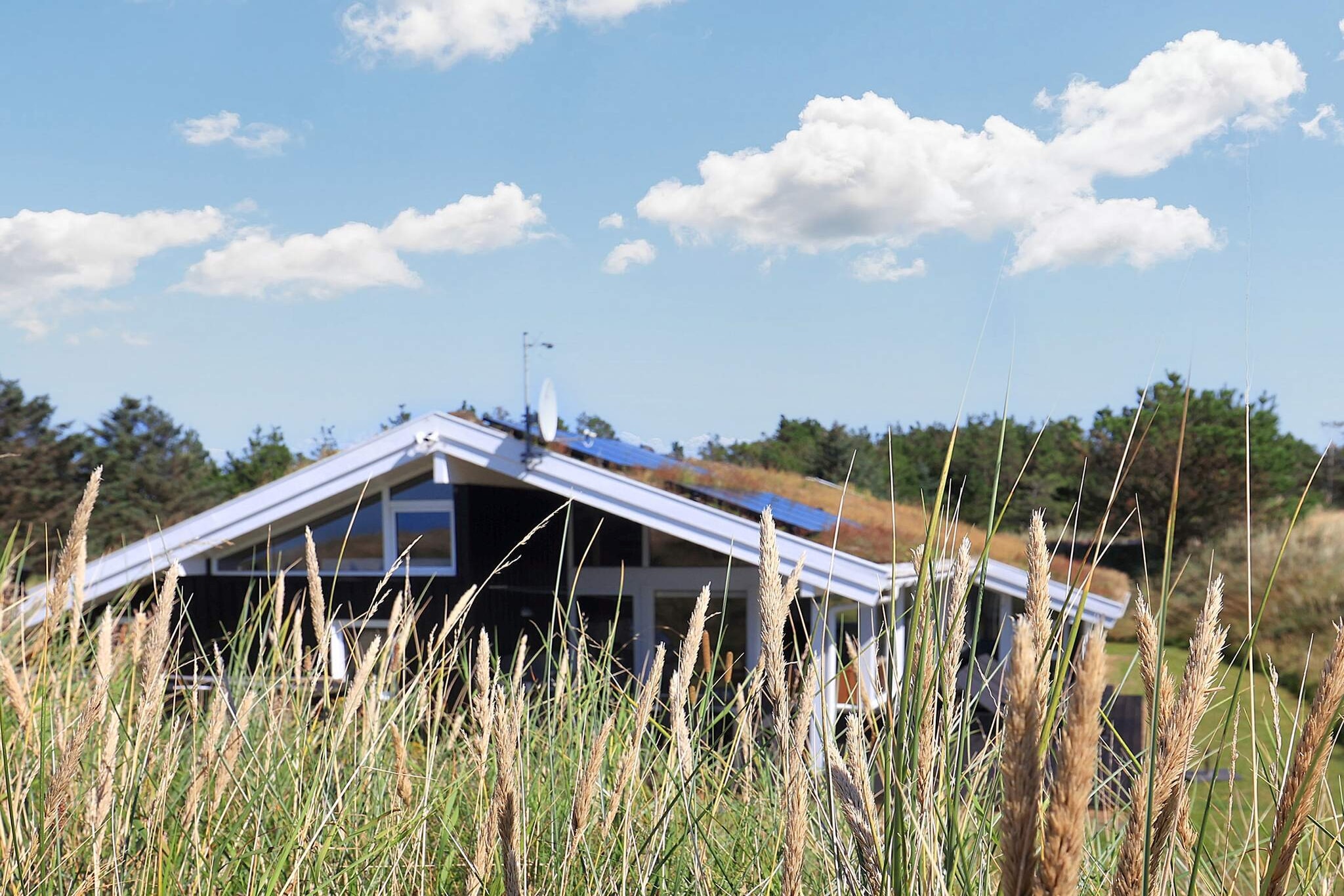 14 persoons vakantie huis in Blokhus-By Traum - Uitzicht