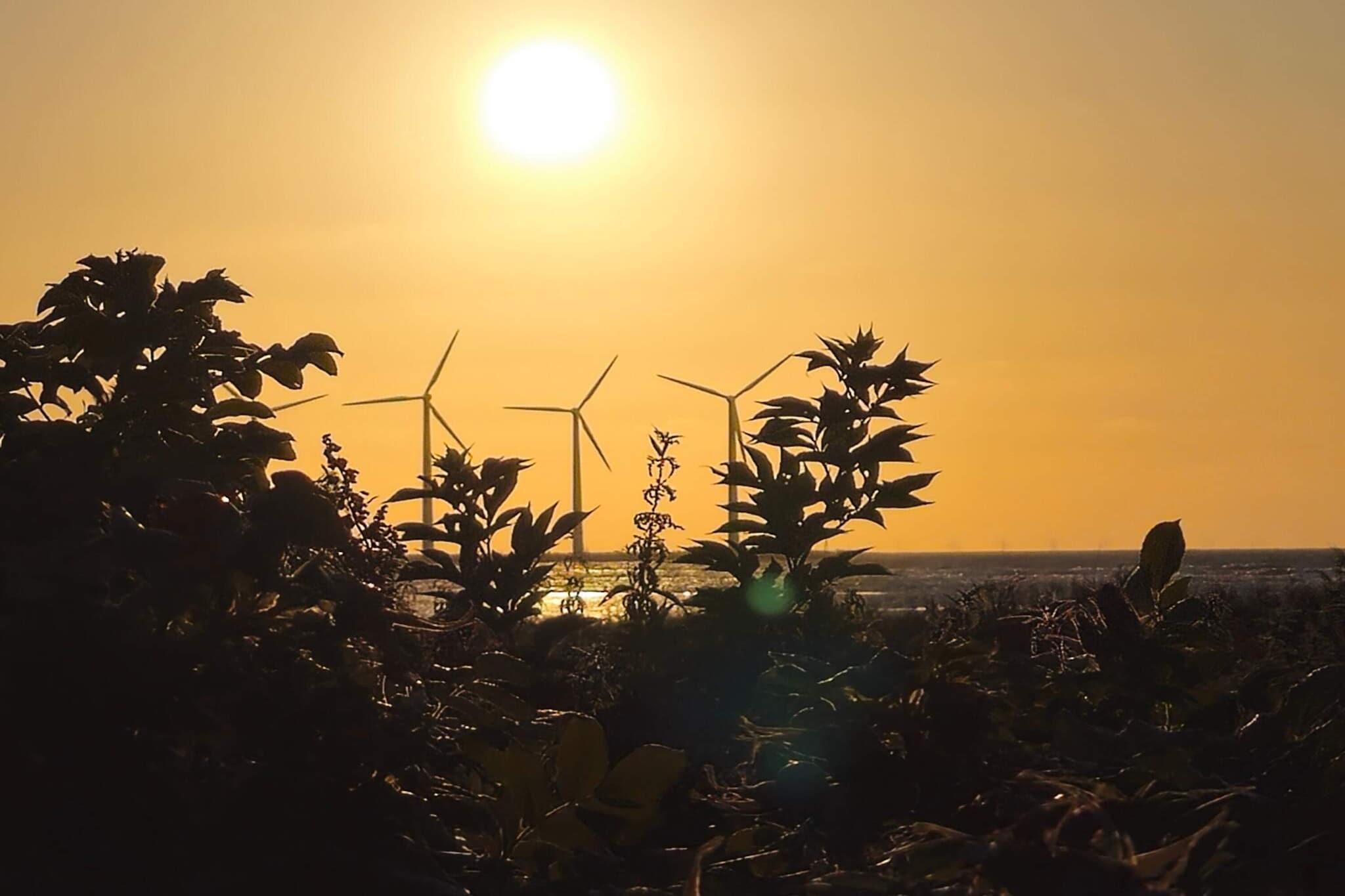 8 persoons vakantie huis in Glesborg-By Traum