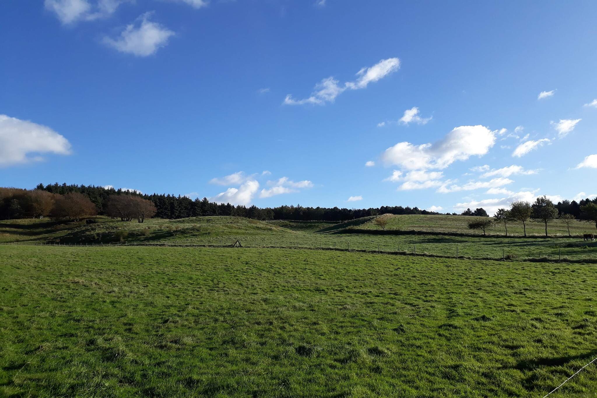 8 persoons vakantie huis in Glesborg-By Traum-Niet-getagd