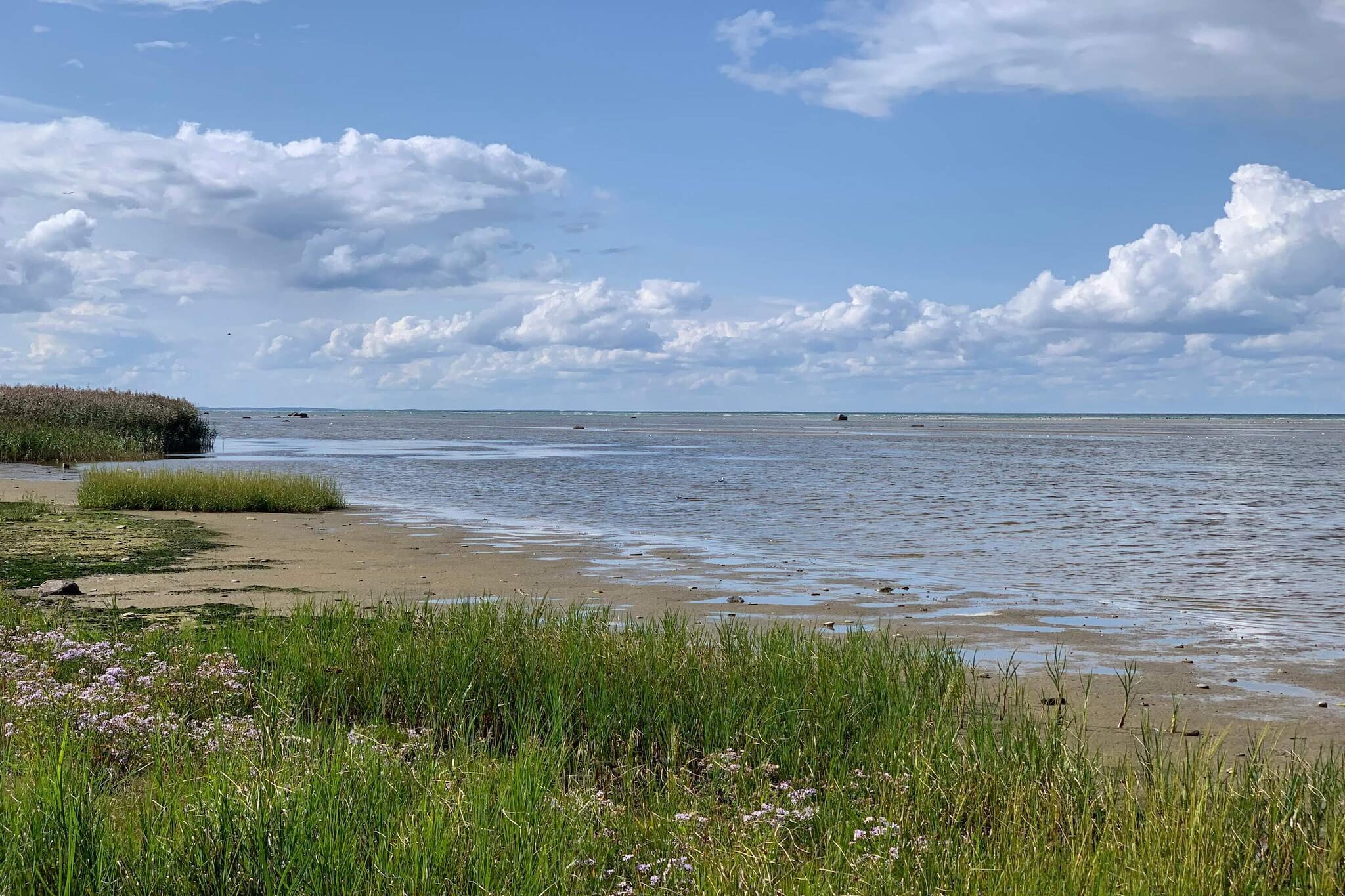 8 persoons vakantie huis in Glesborg-By Traum-Waterzicht