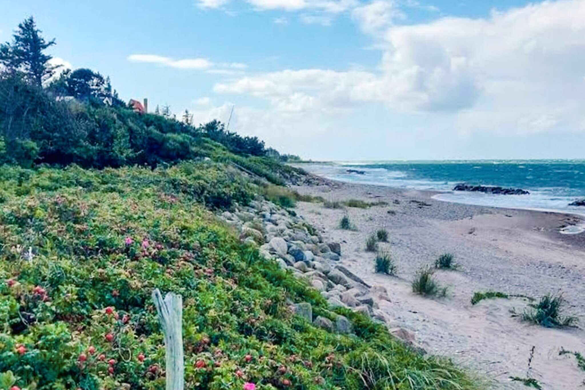 Maison de vacances pour 6 a Gilleleje-By Traum - Vue sur l'eau