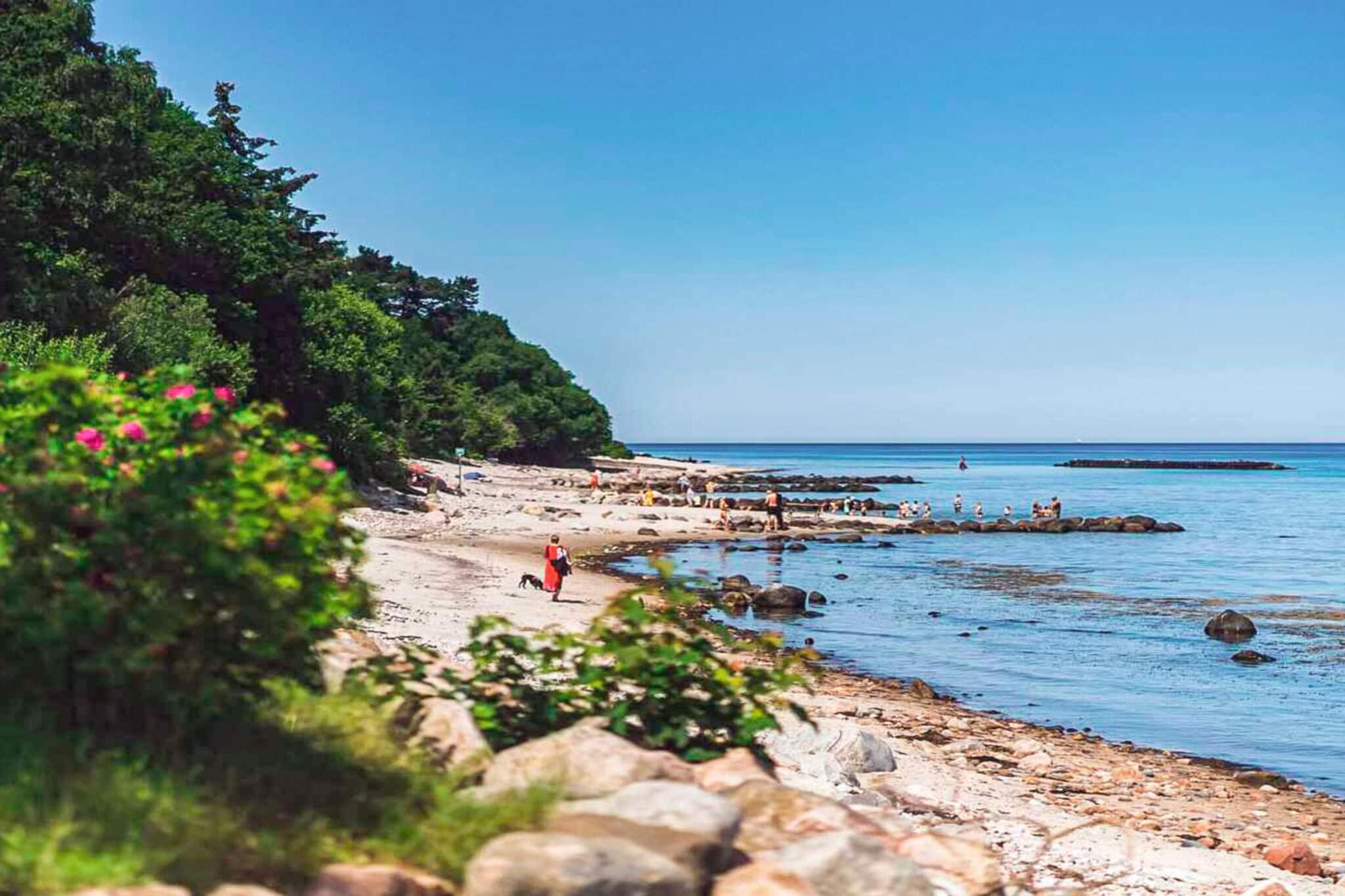Maison de vacances pour 6 a Gilleleje-By Traum - Vue sur l'eau