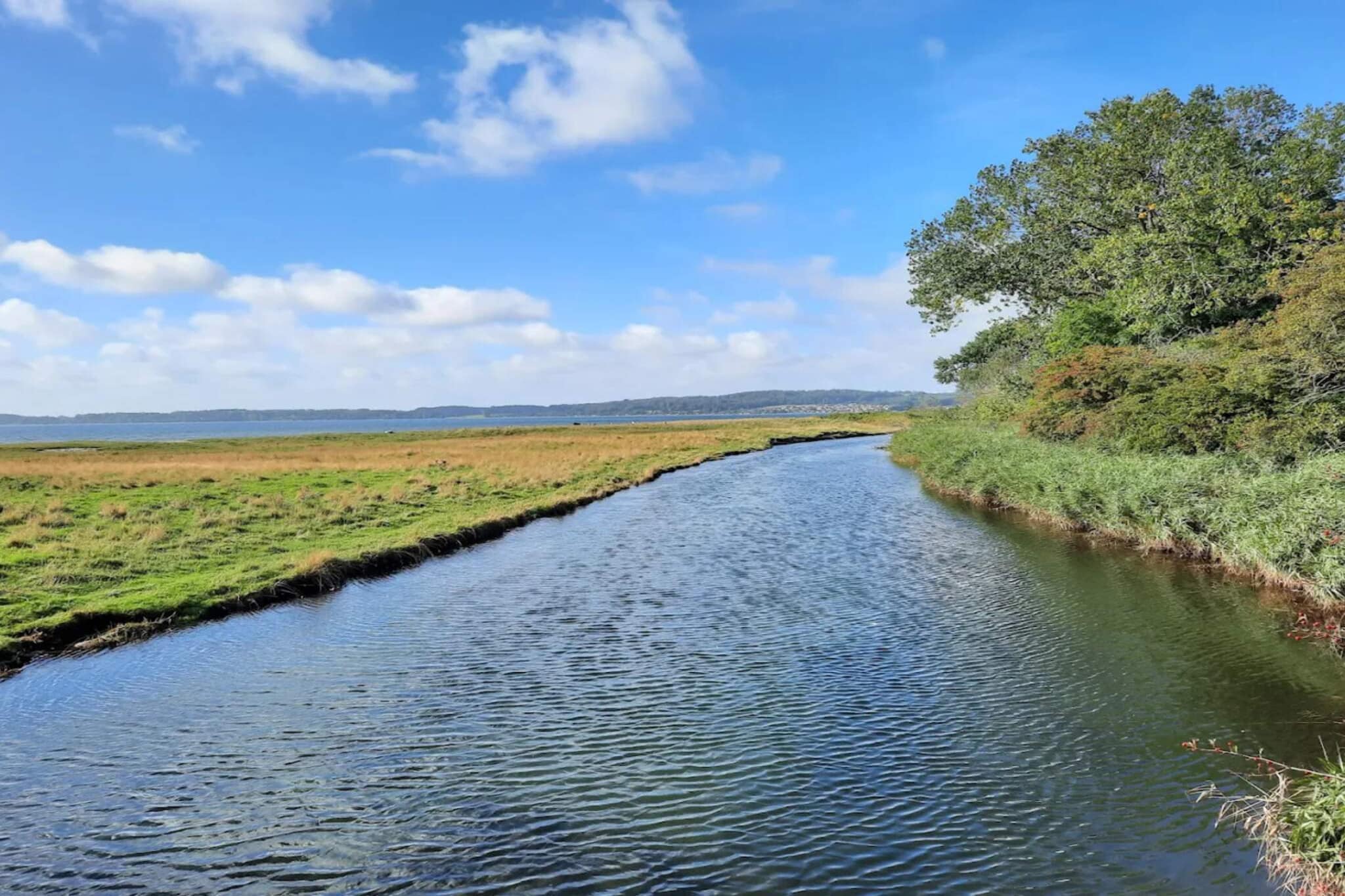 10 persoons vakantie huis in Bjert-Waterzicht
