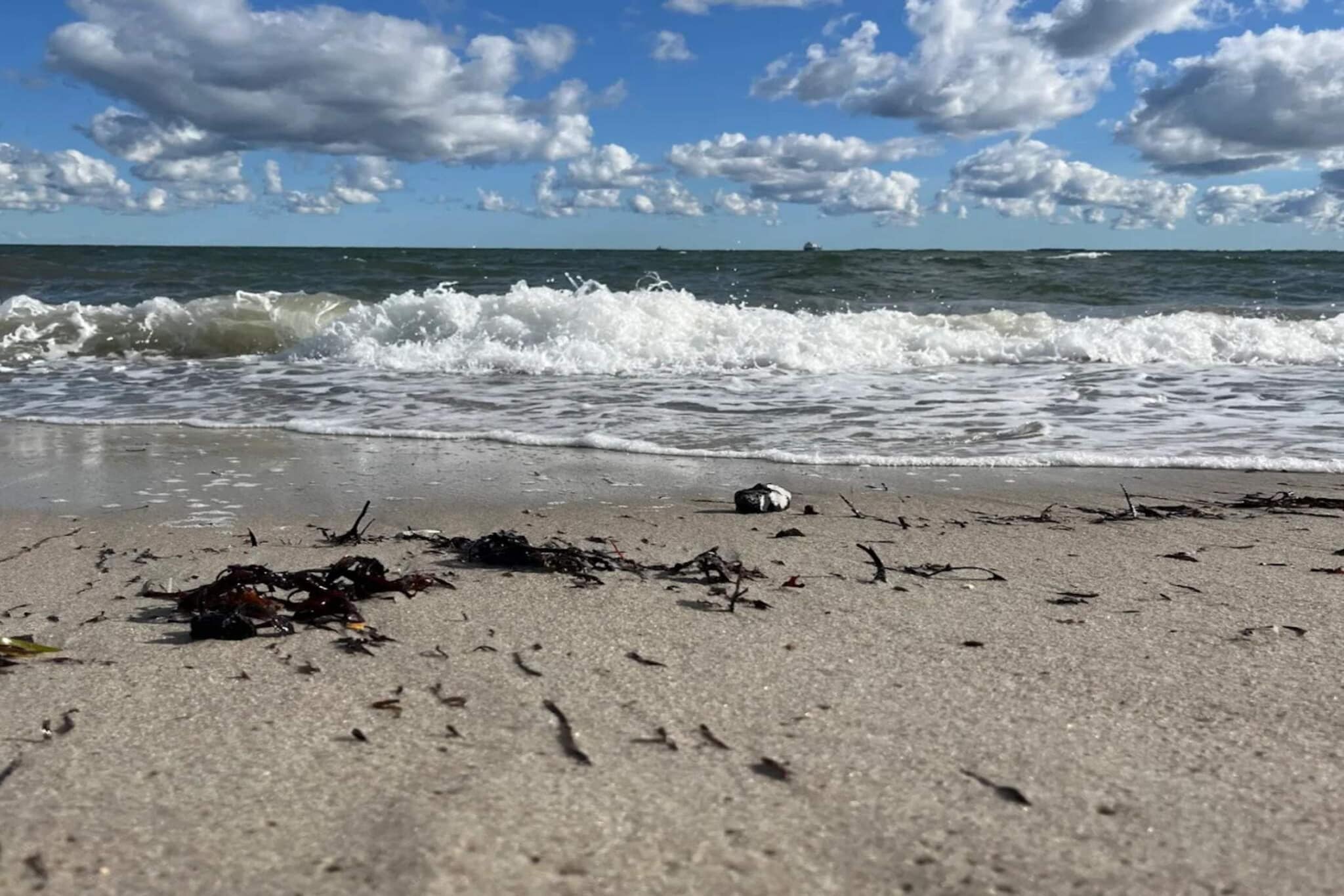 8 persoons vakantie huis in Otterup-By Traum-Waterzicht