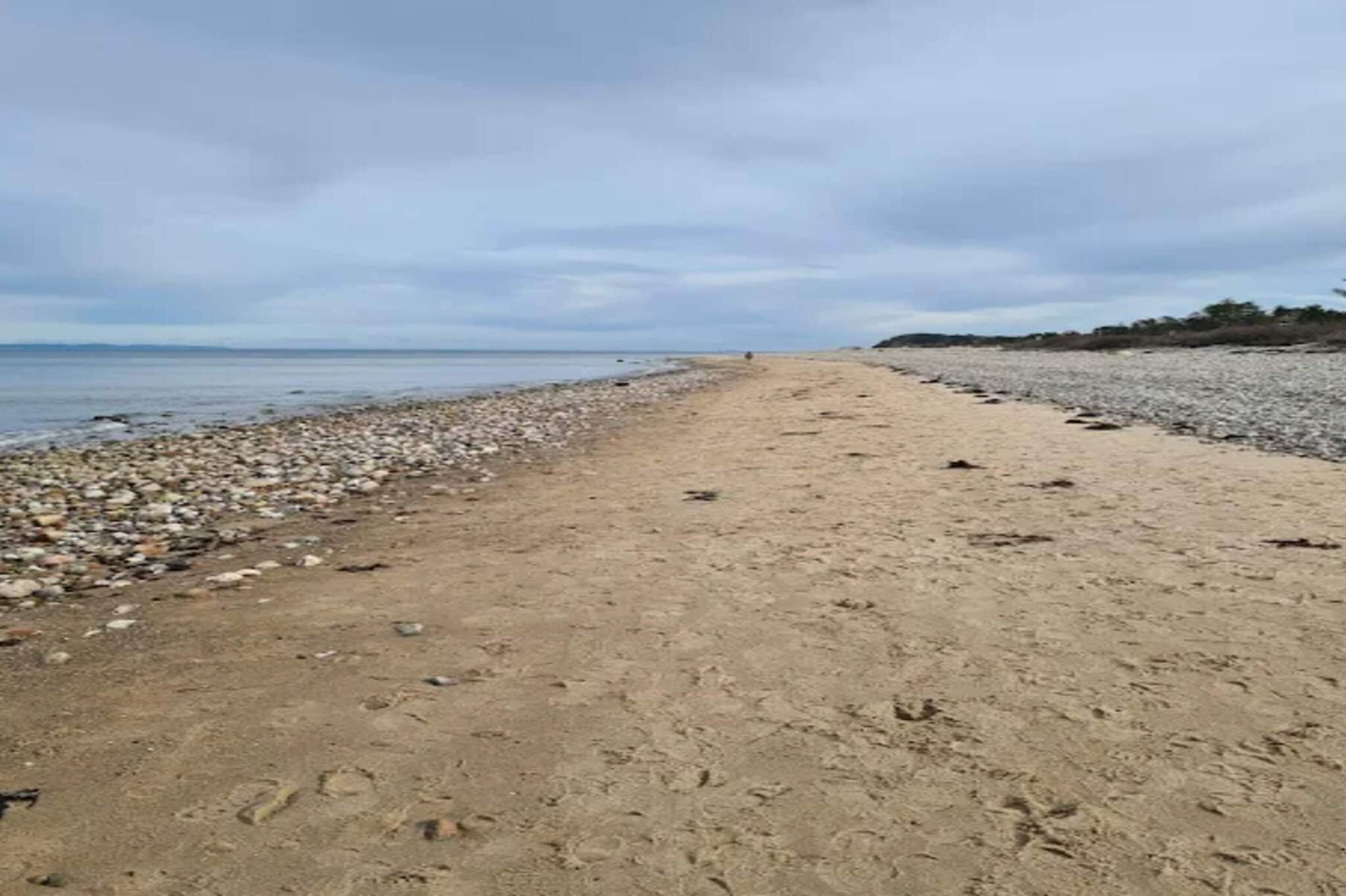 6 persoons vakantie huis in Gilleleje-By Traum - Waterzicht