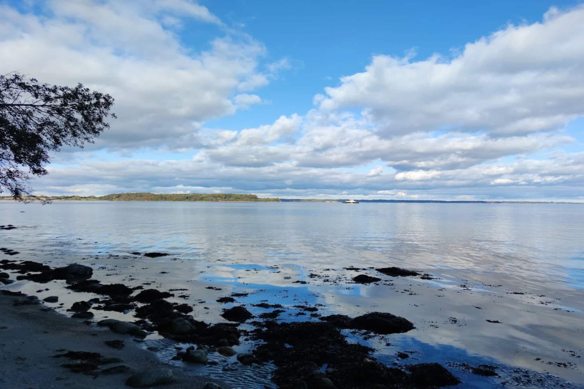 5 persoons vakantie huis in Aabenraa-By Traum-Waterzicht