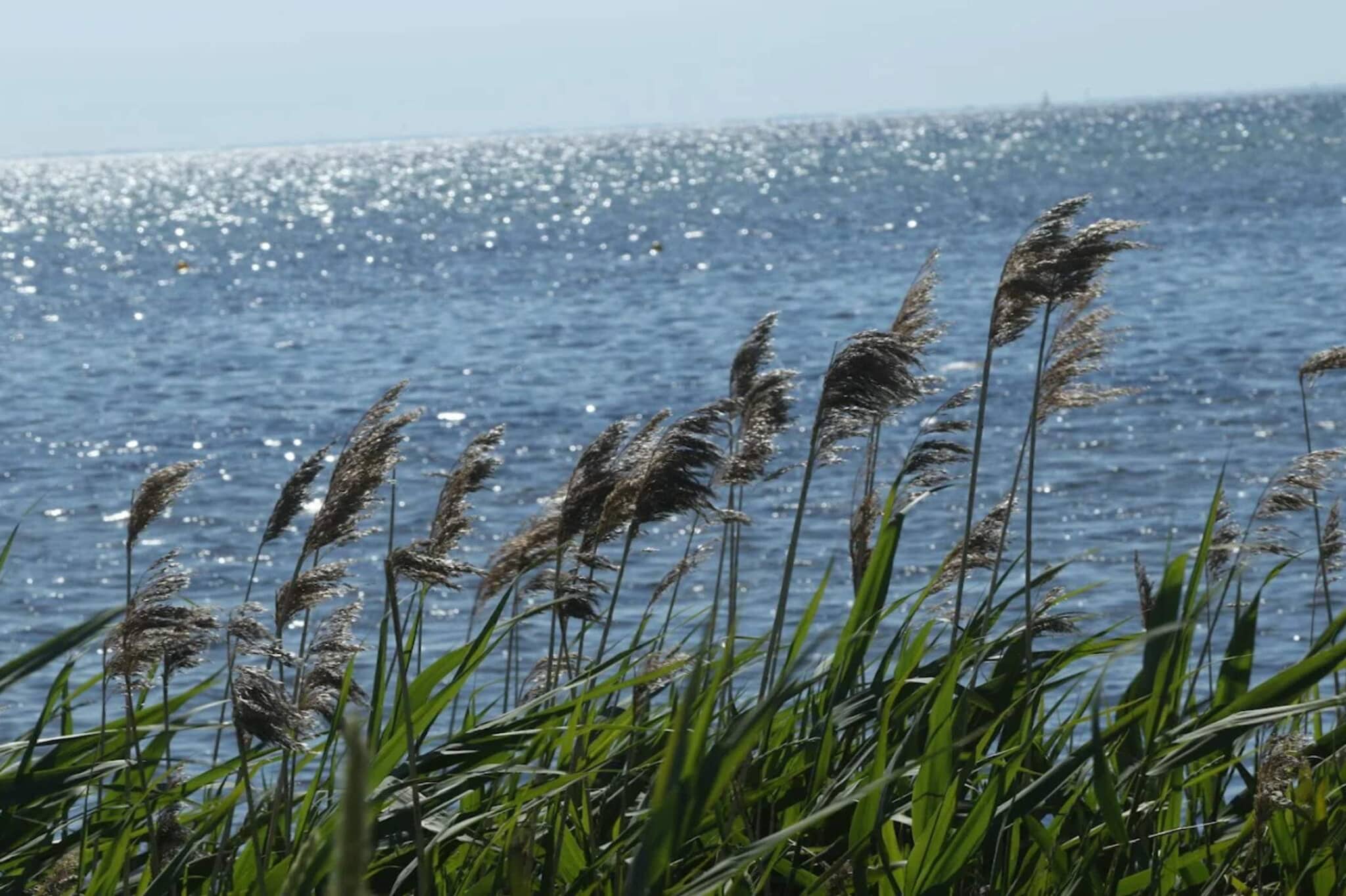 10 Personen Ferienhaus in Dragør-By Traum-Wasserblick