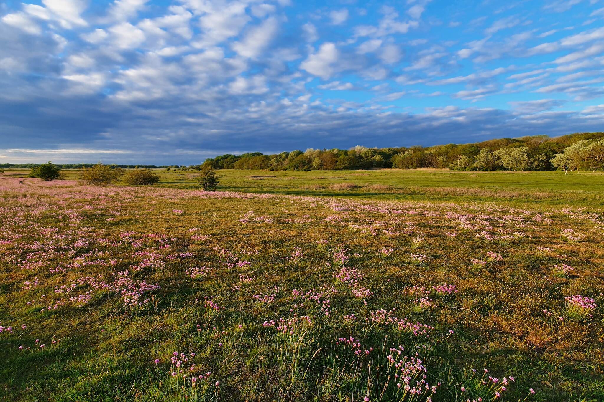 10 person holiday home in Dragør-By Traum - Untagged