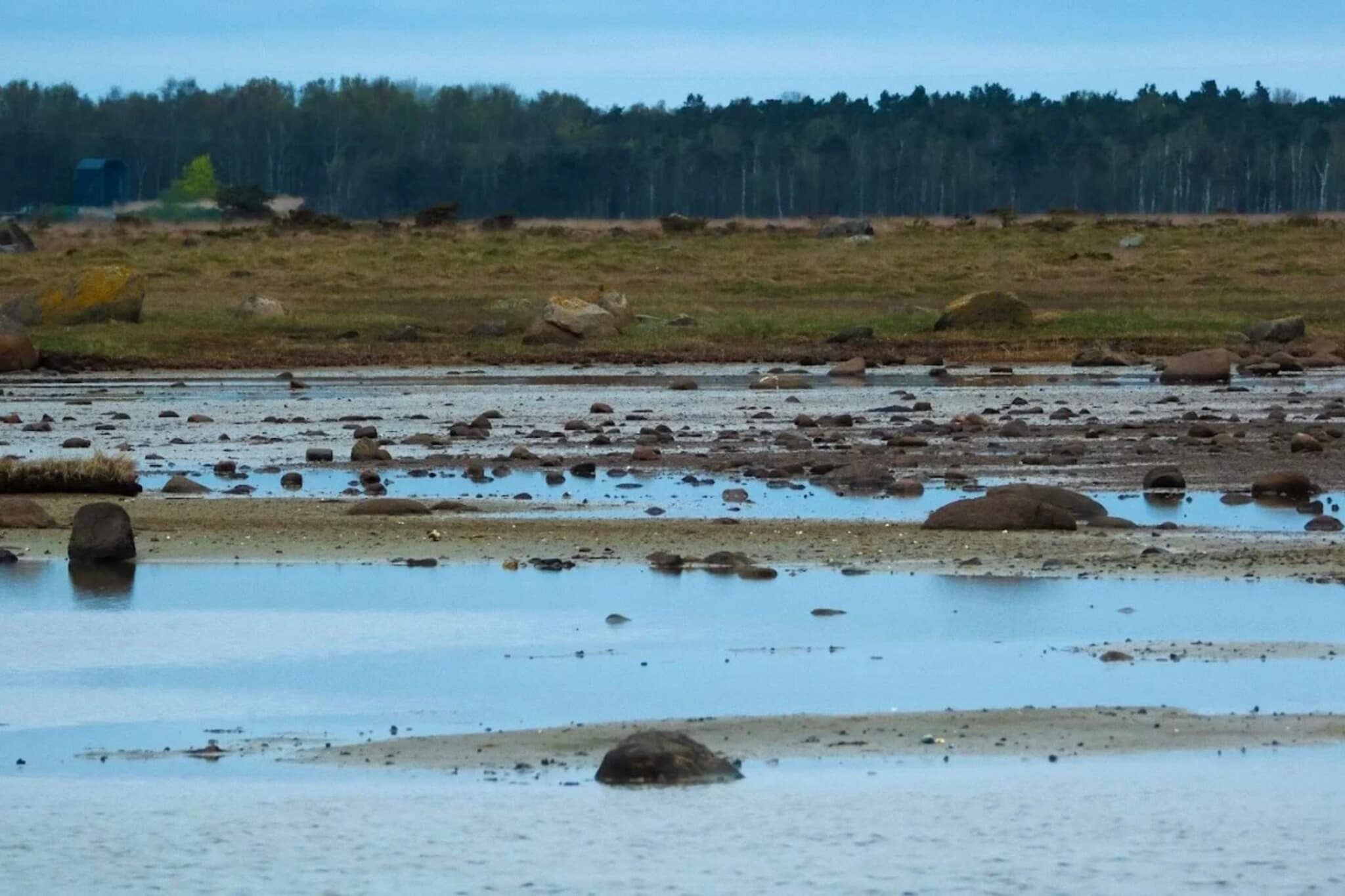 Maison de vacances pour 6 a Læsø-By Traum-Vue sur l'eau