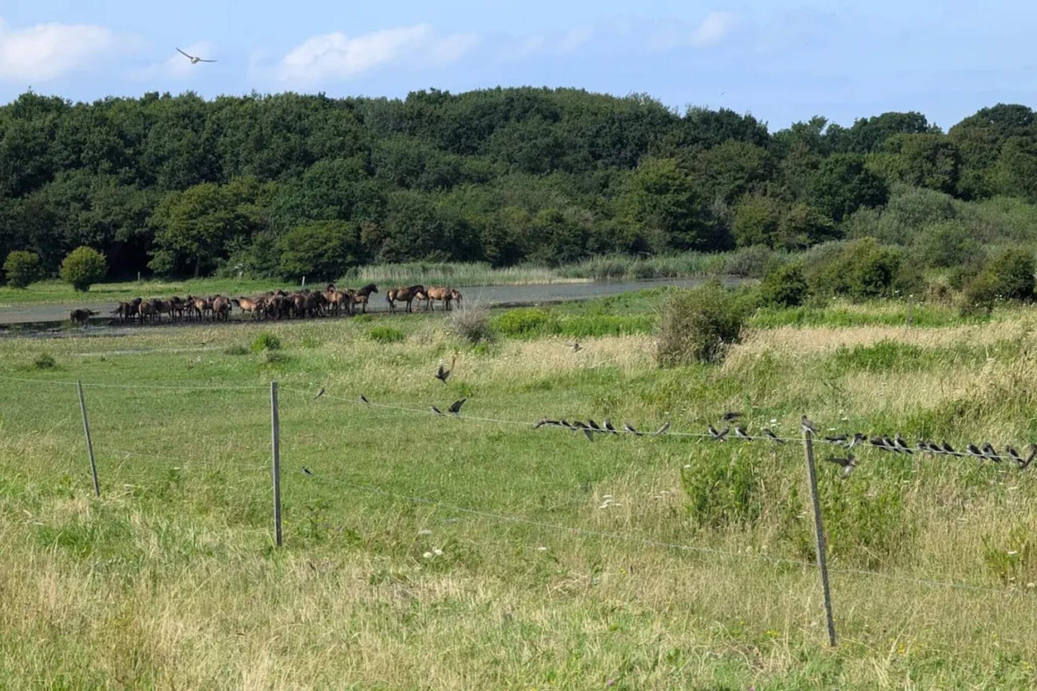 6 persoons vakantie huis in Bagenkop-Niet-getagd