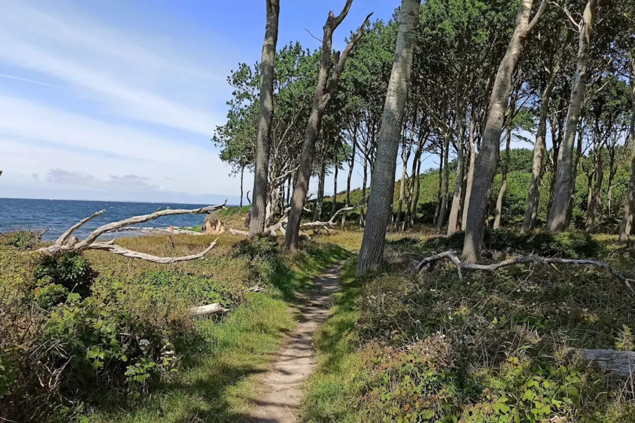 6 persoons vakantie huis in Bagenkop-Waterzicht