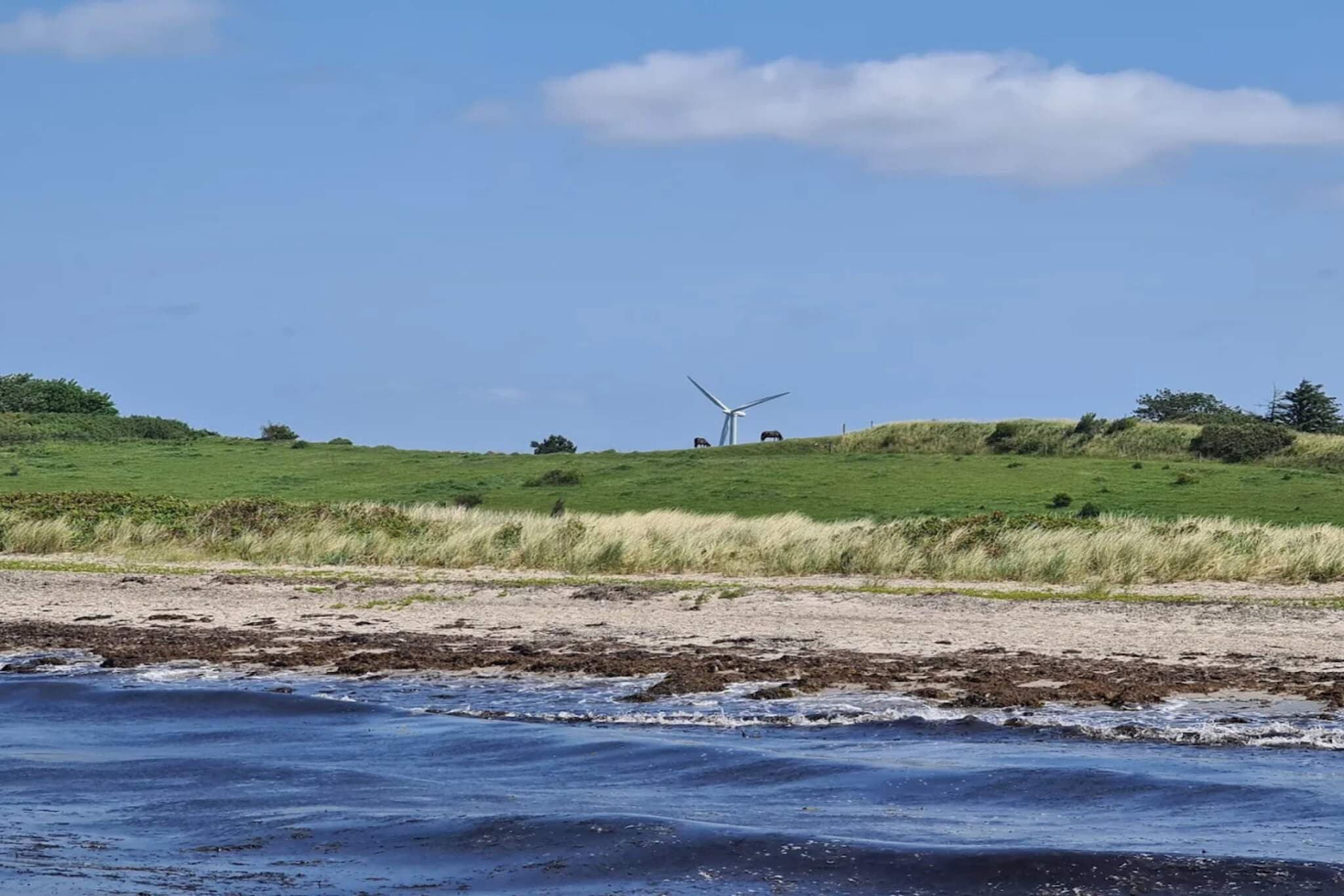 6 persoons vakantie huis in Bagenkop-Waterzicht