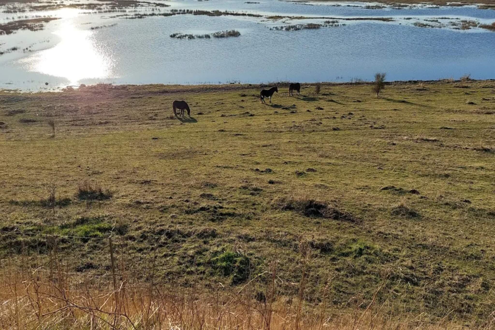 6 persoons vakantie huis in Bagenkop-Waterzicht