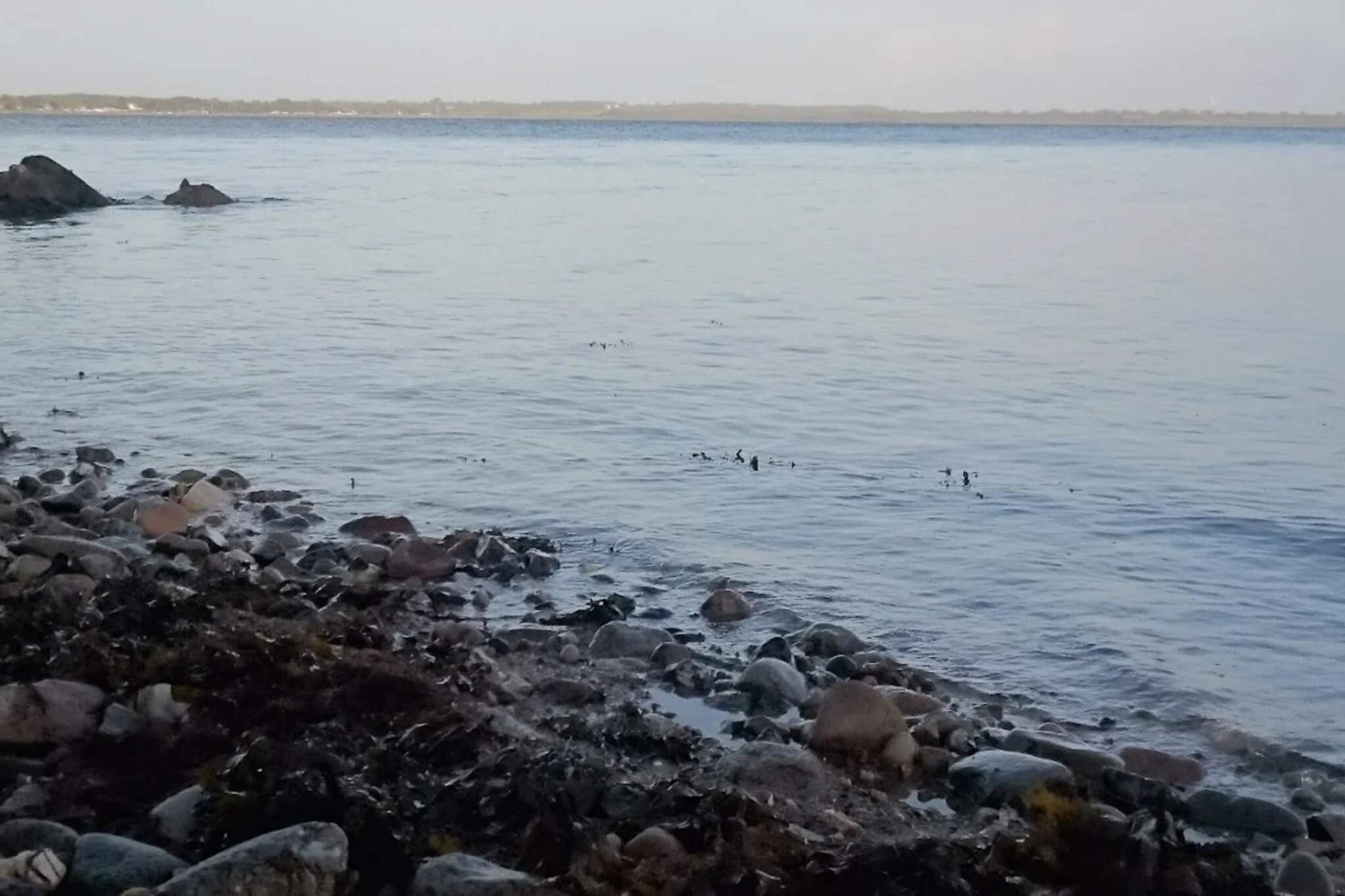 Luxe kust toevluchtsoord -- By Traum Ferienwohnungen-Waterzicht