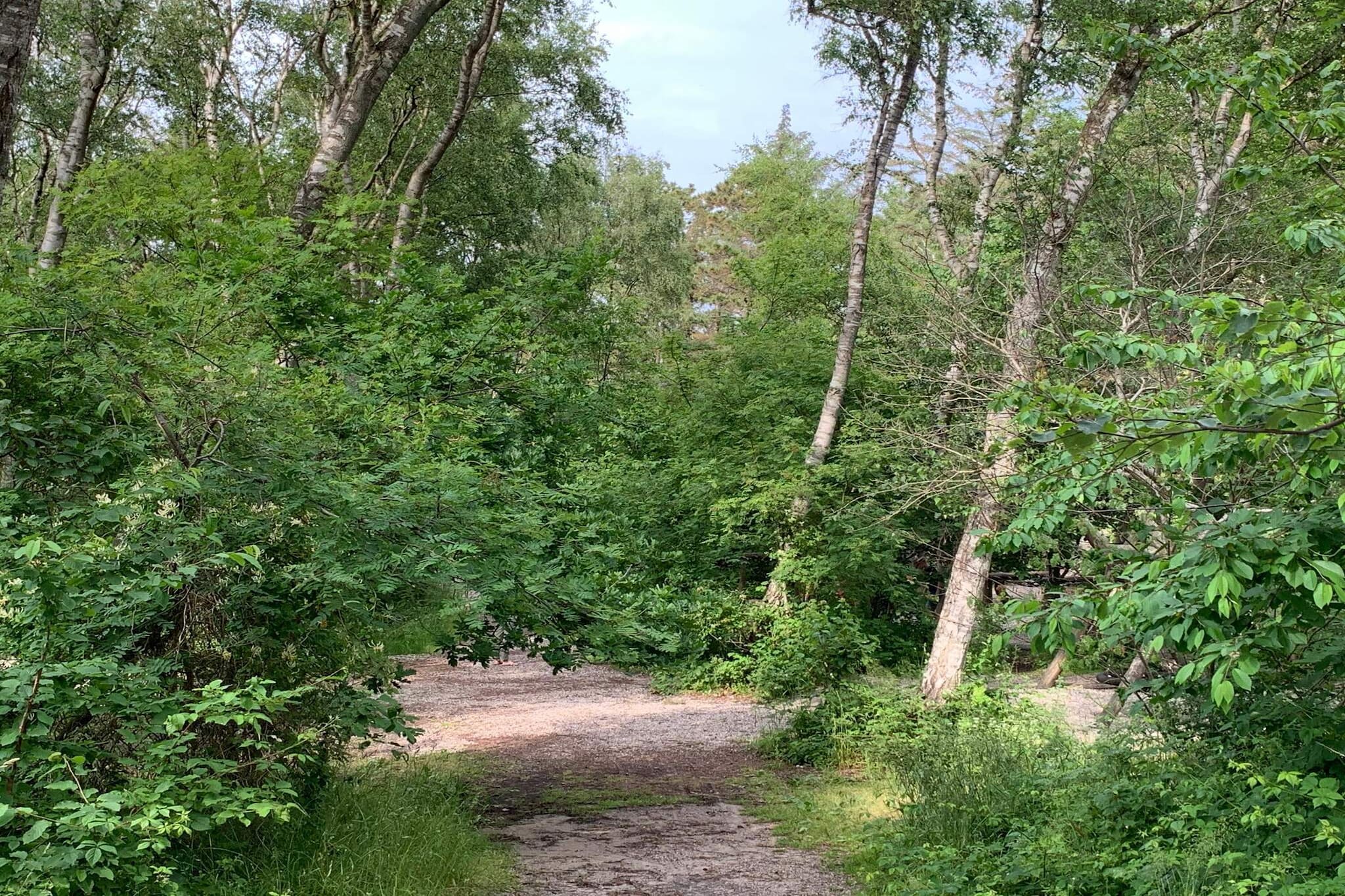 12 persoons vakantie huis in Hundested-By Traum