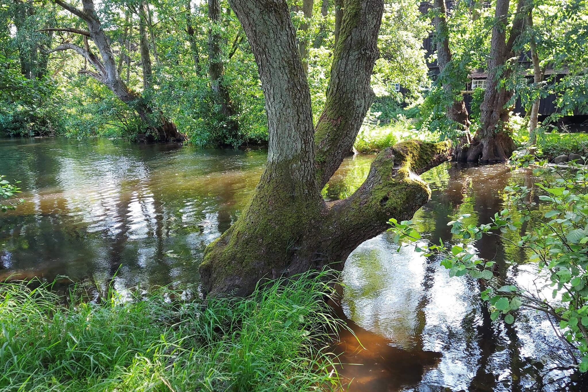 10 persoons vakantie huis in Ry-By Traum-Waterzicht