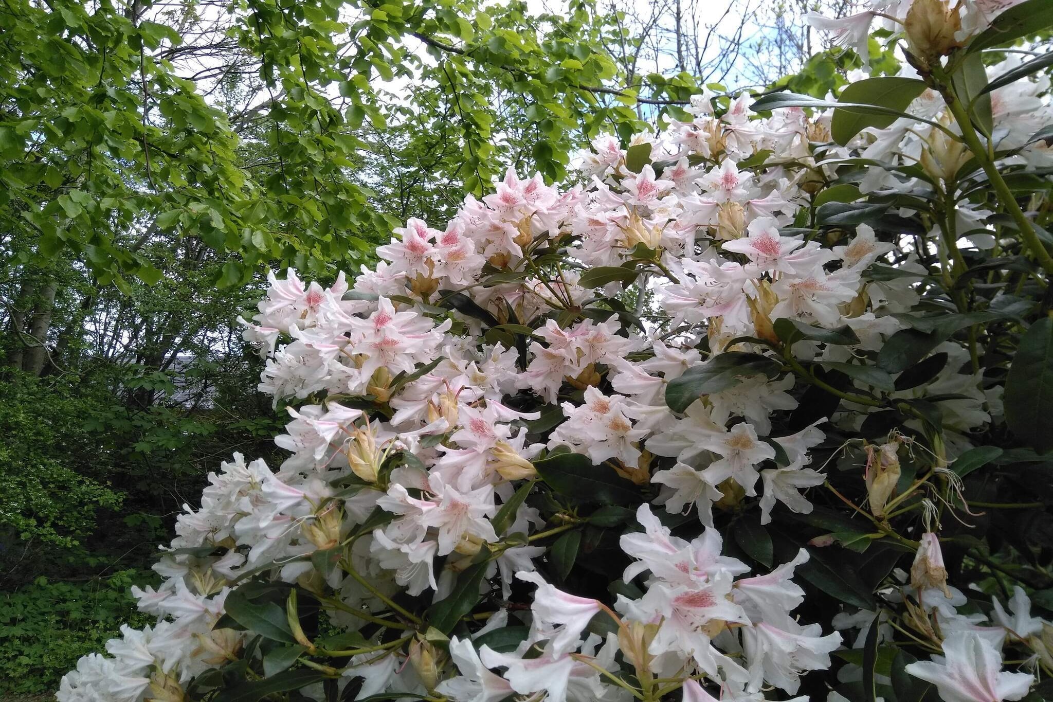 6 person holiday home in Thyholm-By Traum-Untagged