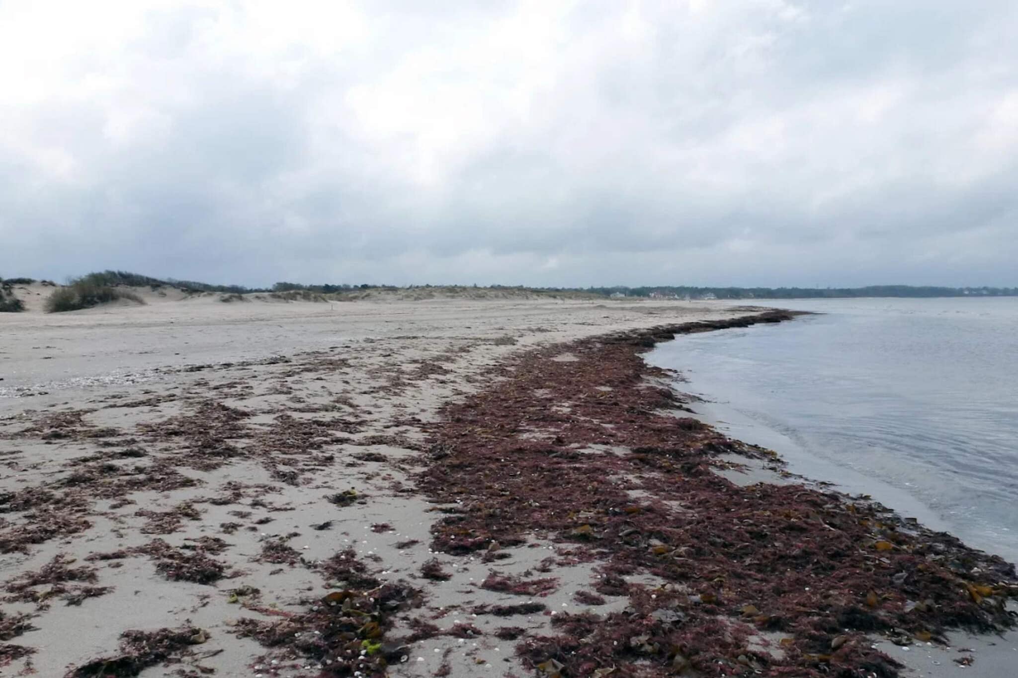 6 Personen Ferienhaus in Hornbæk-By Traum-Wasserblick