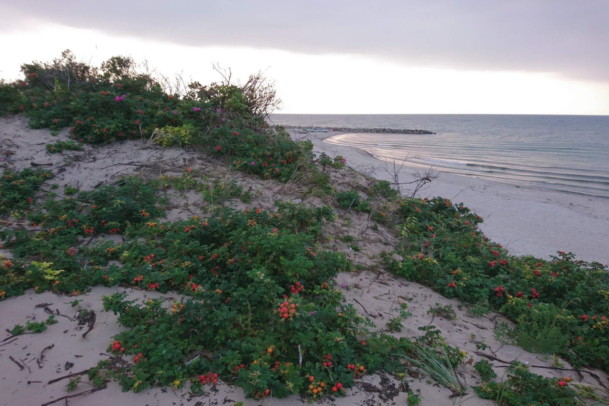 6 persoons vakantie huis in Melby-By Traum