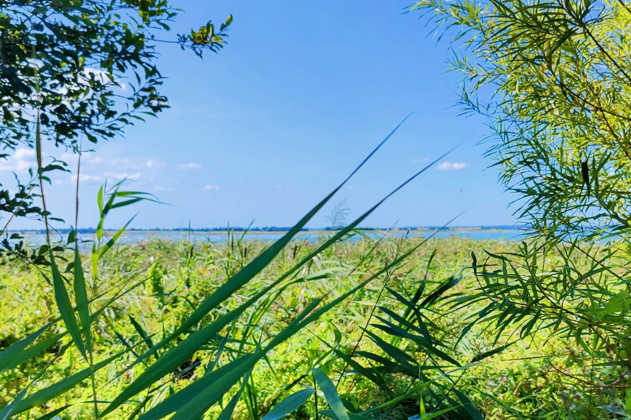 4 persoons vakantie huis in Jægerspris-By Traum-Niet-getagd