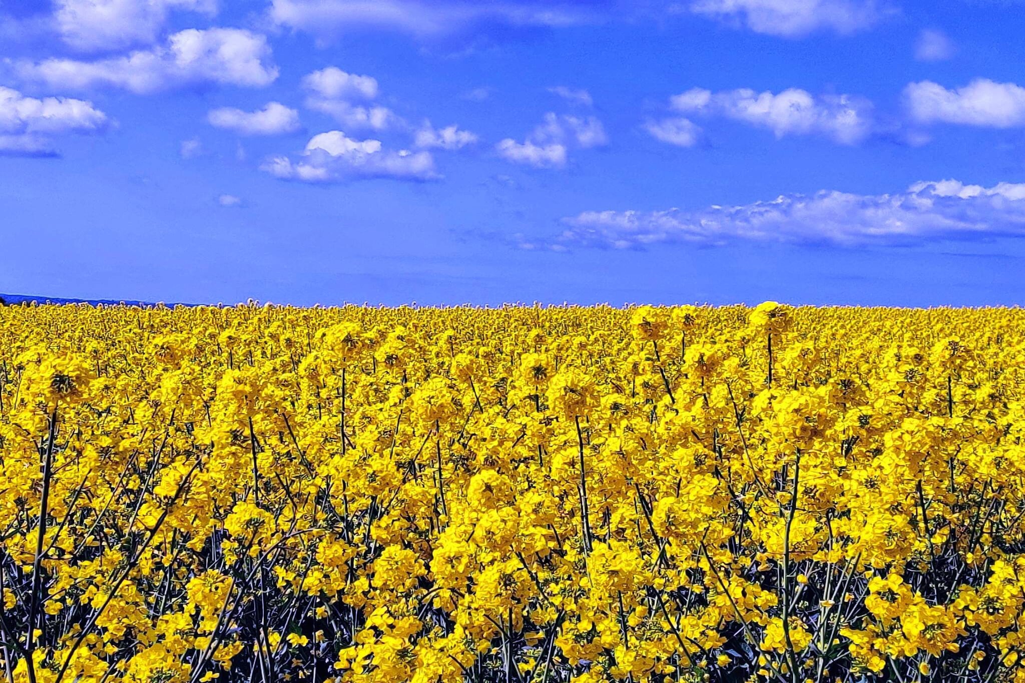 4 persoons vakantie huis in Jægerspris-By Traum-Niet-getagd