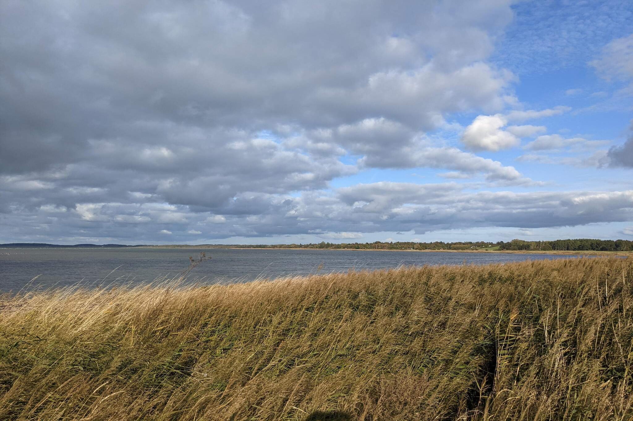 4 persoons vakantie huis in Jægerspris-By Traum-Waterzicht