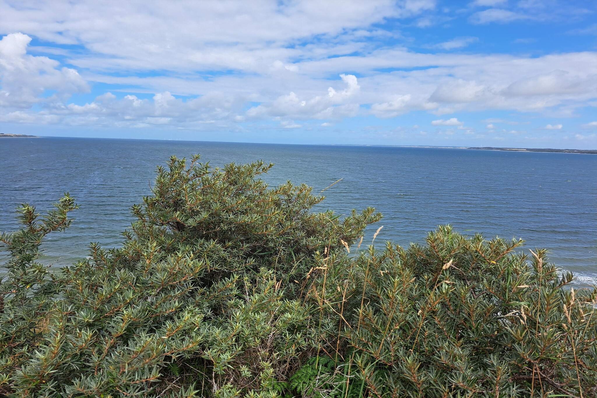 8 Personen Ferienhaus in Struer-By Traum-Wasserblick