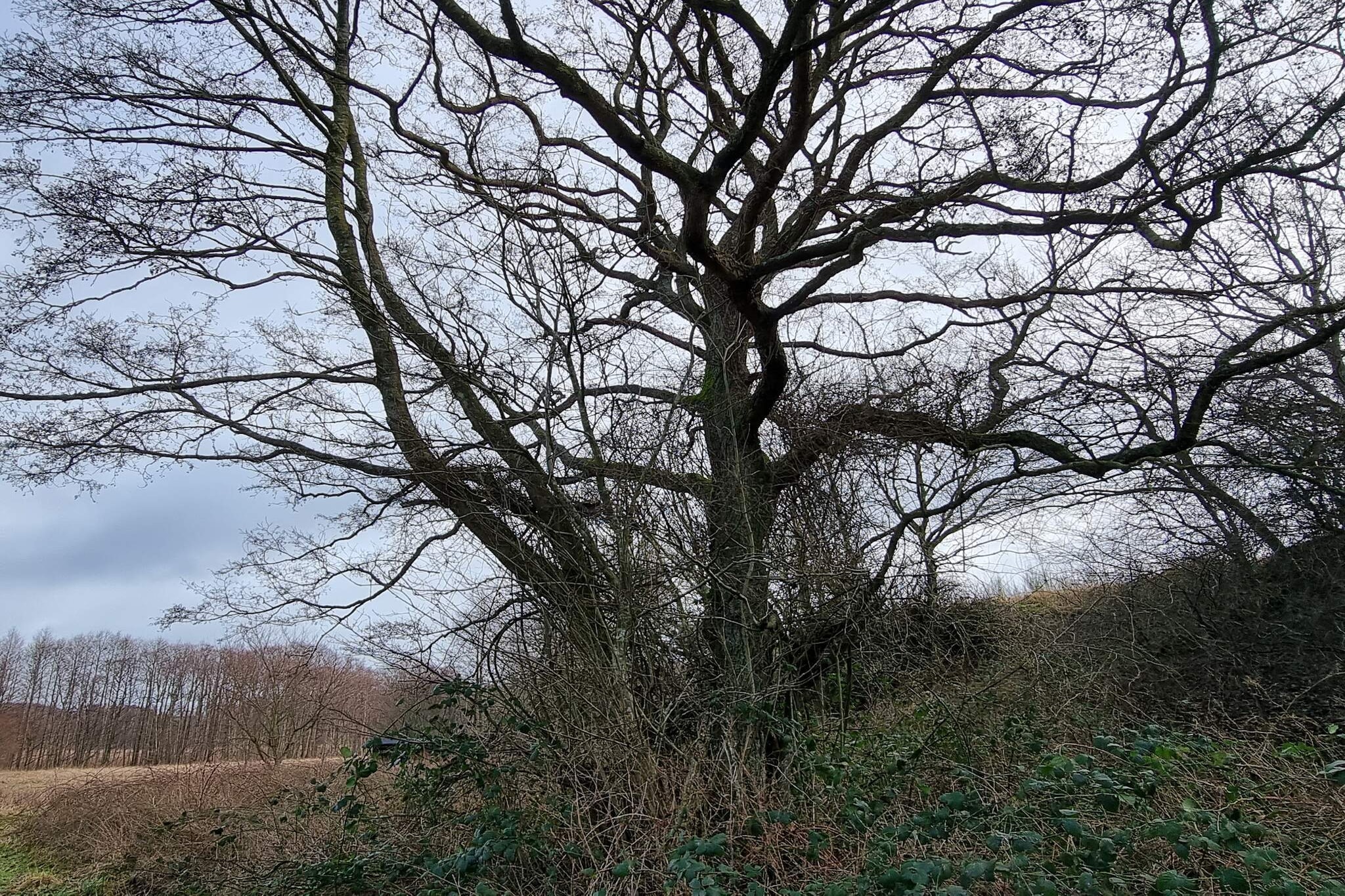 6 persoons vakantie huis in Ebeltoft-By Traum-Niet-getagd