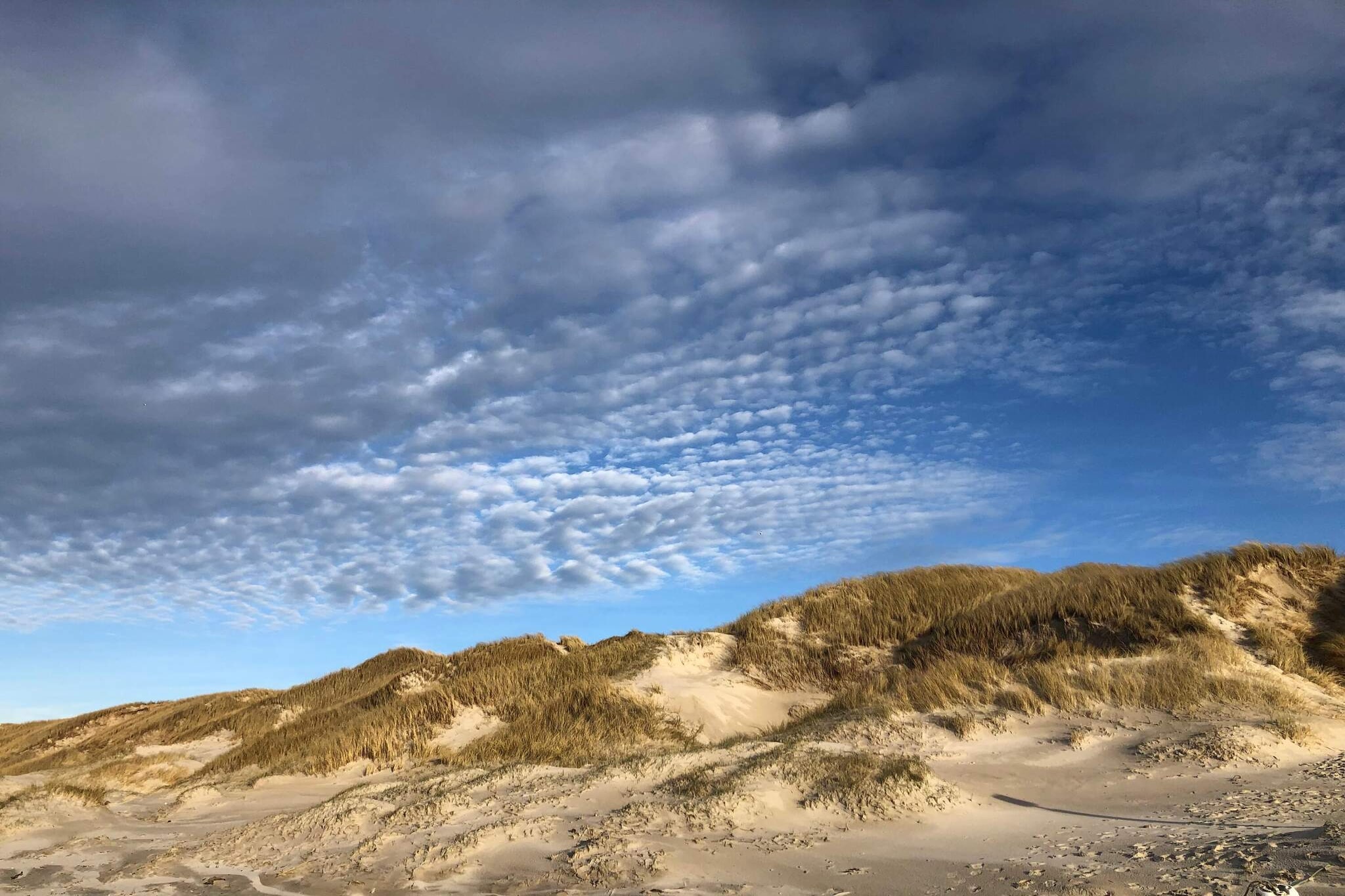 6 person holiday home in Vejers Strand - Untagged
