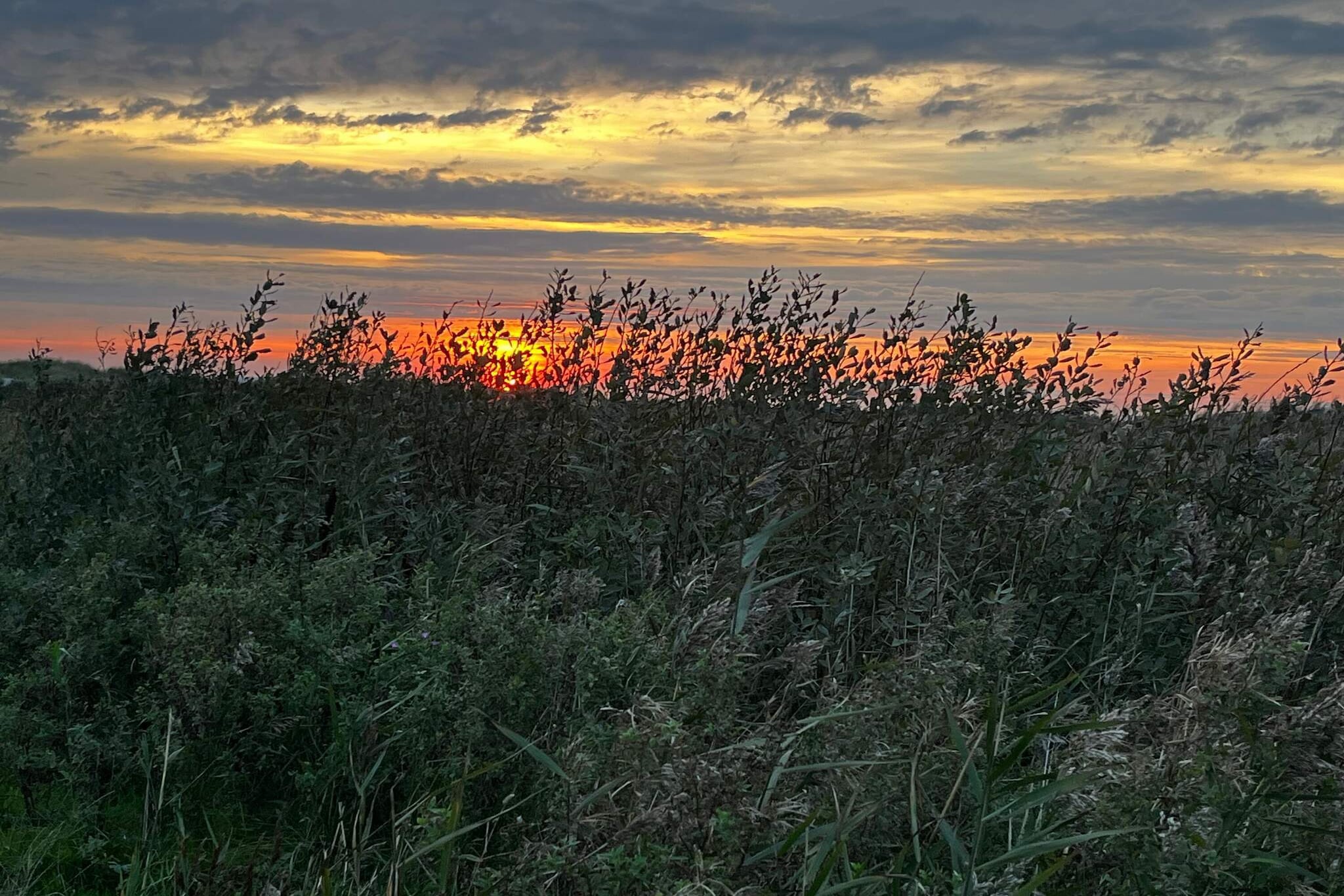 4 persoons vakantie huis in Ebeltoft-By Traum