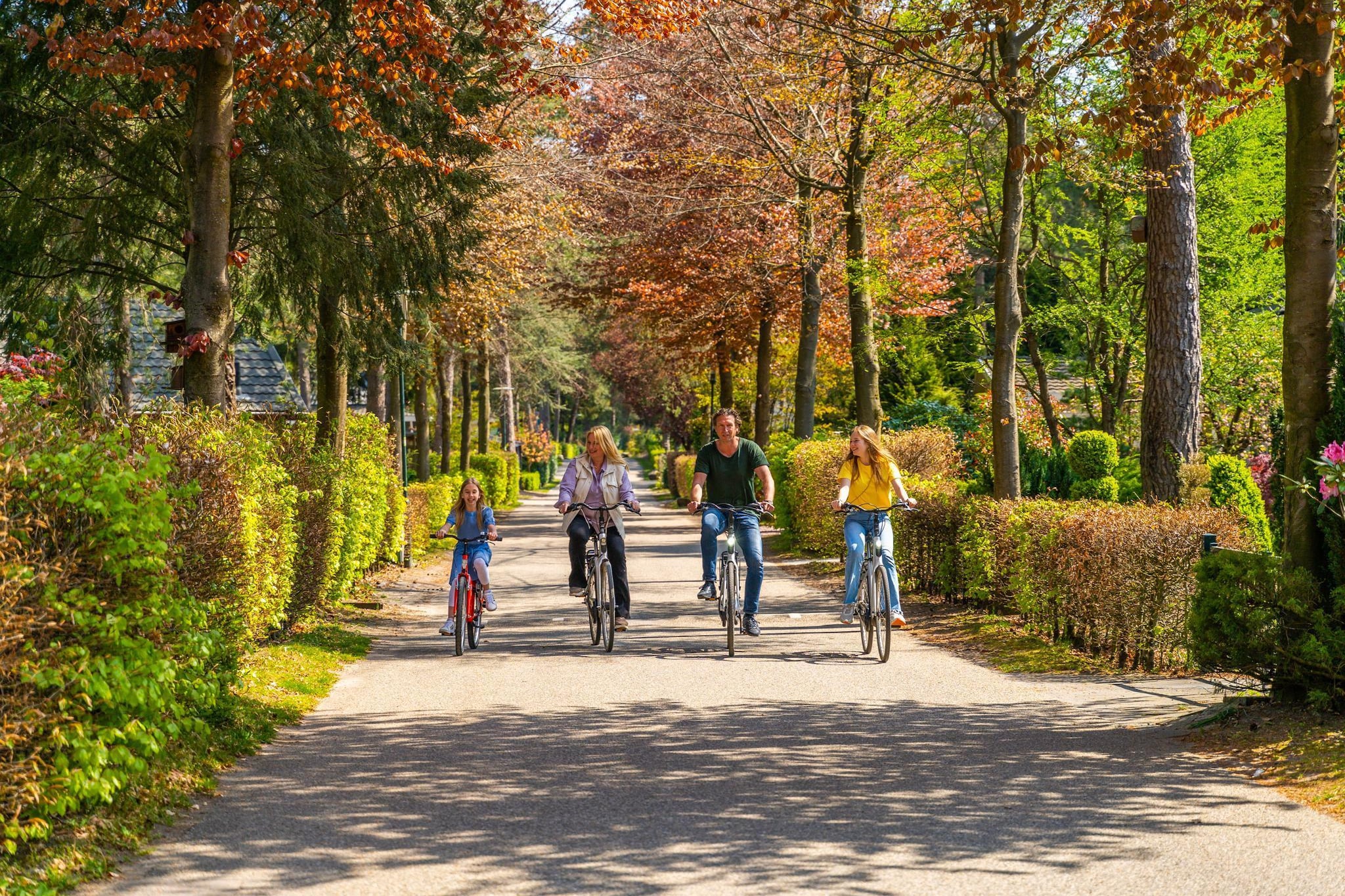 Park Facilities