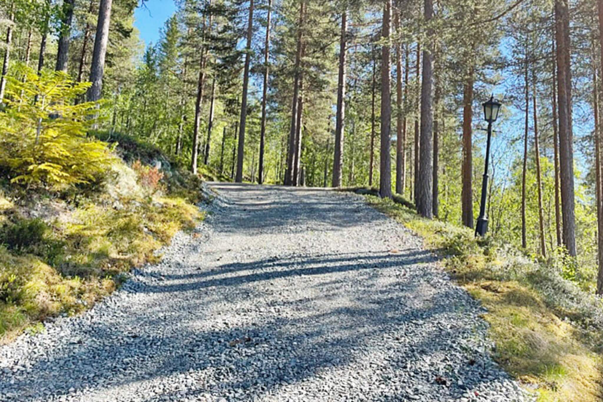 Cozy Norwegian cabin with great location and beautiful views, close to alpine resorts and cross-country skiing trails. Perfect for ski holidays. The cabin is pleasantly furnished with a large living room and a fireplace for cold days. Spacious dining room with room for everyone around the table. Three bedrooms. Bathroom with shower and bathtub. Large and beautiful terrace with a lovely view of the mountains and the lake. Rendalen is a gem and known for its great skiing, hiking, hunting, and fishing opportunities. With the cabin as a starting point, the whole family can go on great walks in the forest and mountains. If you are interested in sports and the outdoors, the area has a wide selection of activities throughout the year. Storsjøen has swimming and fishing opportunities. Here there is a reindeer herd and generally a rich animal life. The area offers marked and unmarked paths for hiking and cycling. Ski resorts only 600 meters away and cross-country trails only 150 m from the cabin. At Bjørnehiet Pub at the alpine resort, you can buy pizza/hamburgers etc. Great fishing opportunities in e.g. Åkrestrømmen and the river Mistra, one of Norway's best trout rivers.