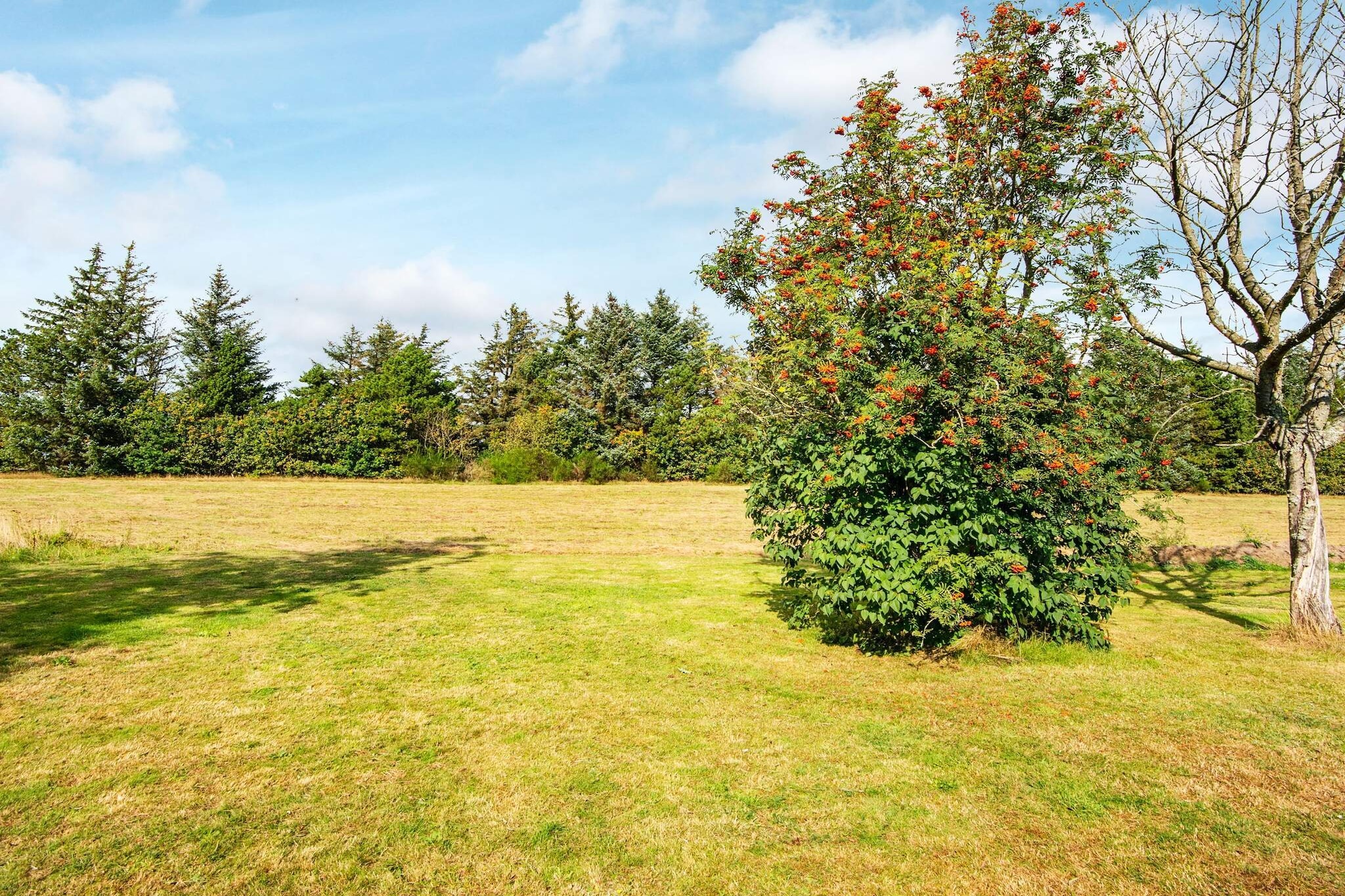 6 persoons vakantie huis in Ulfborg-By Traum