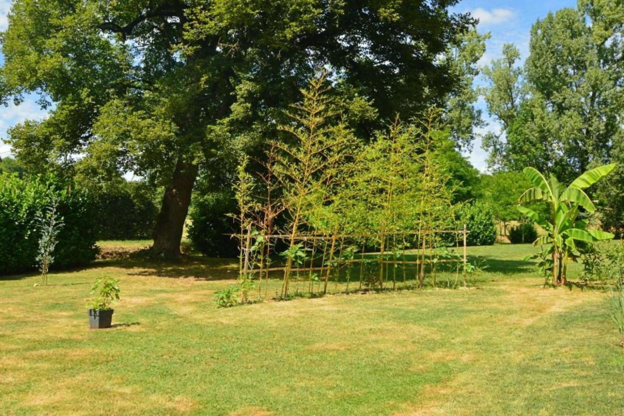 Cottage 6p-Gebieden zomer 20km