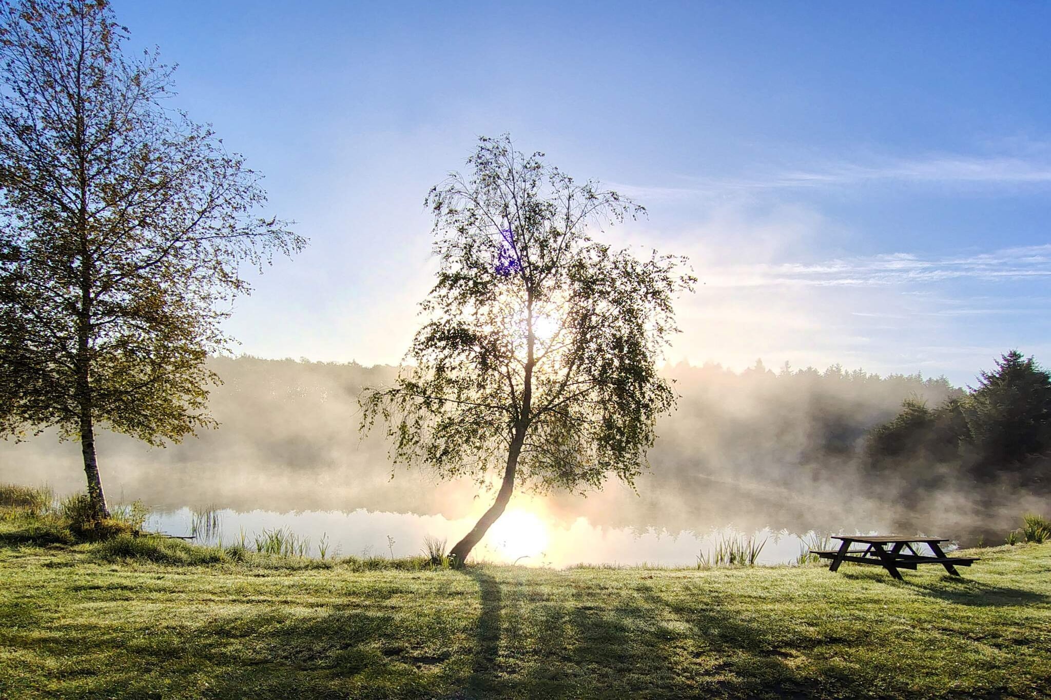 6 persoons vakantie huis in Toftlund-By Traum - Niet-getagd