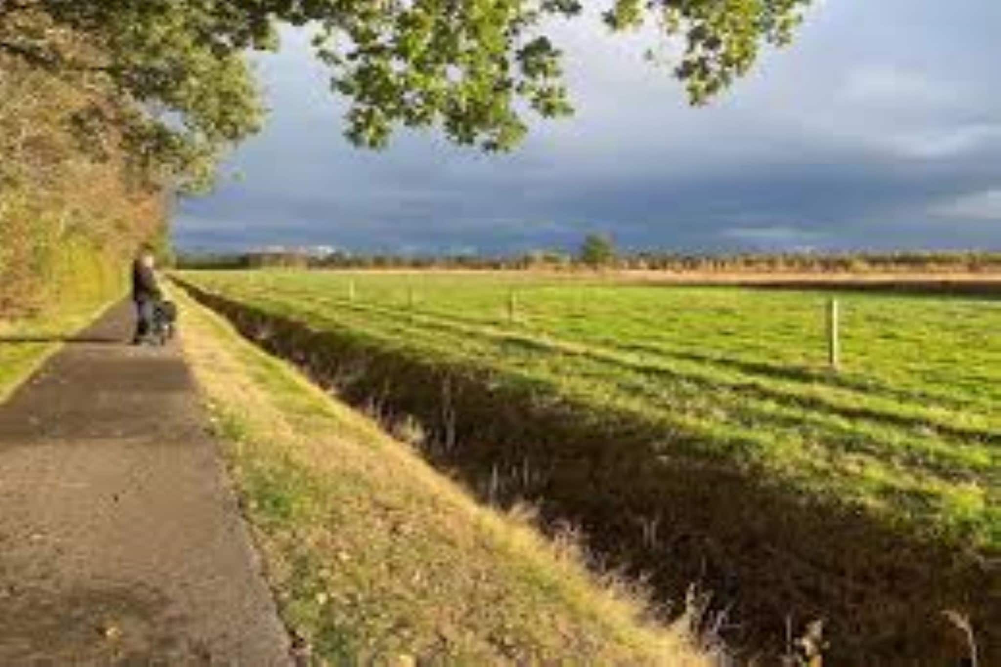 Natuurlodge Tureluur 2p - Gebieden zomer 1km