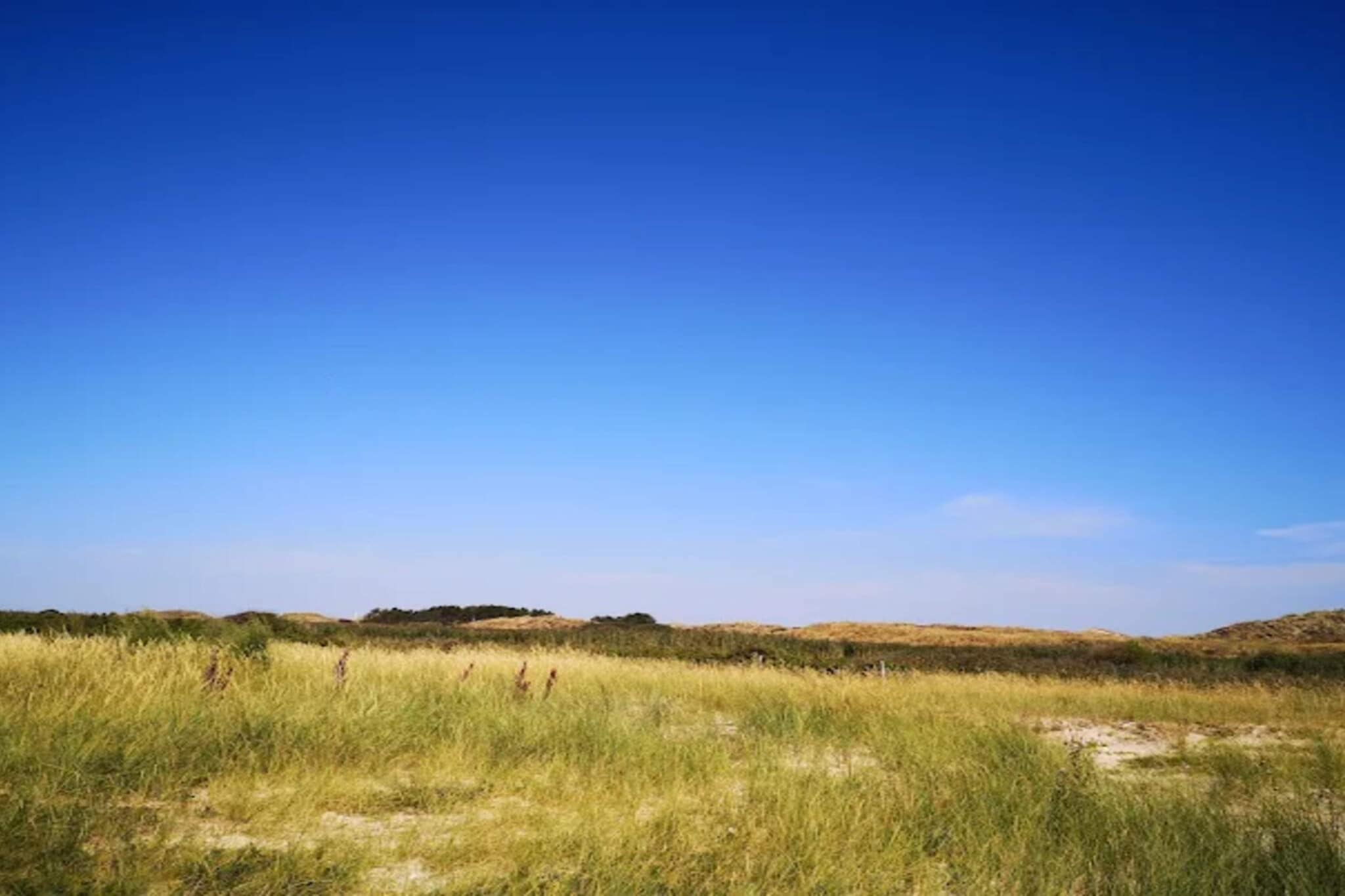 4 persoons vakantie huis in Fanø-By Traum-Niet-getagd