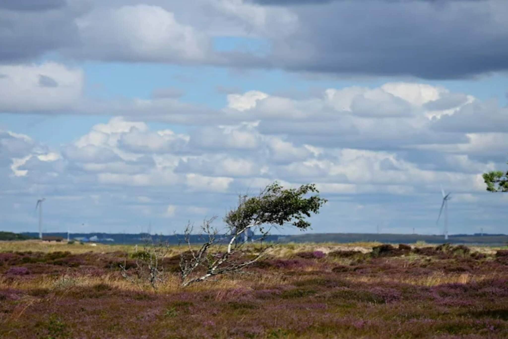 4 persoons vakantie huis in Fanø-By Traum-Waterzicht