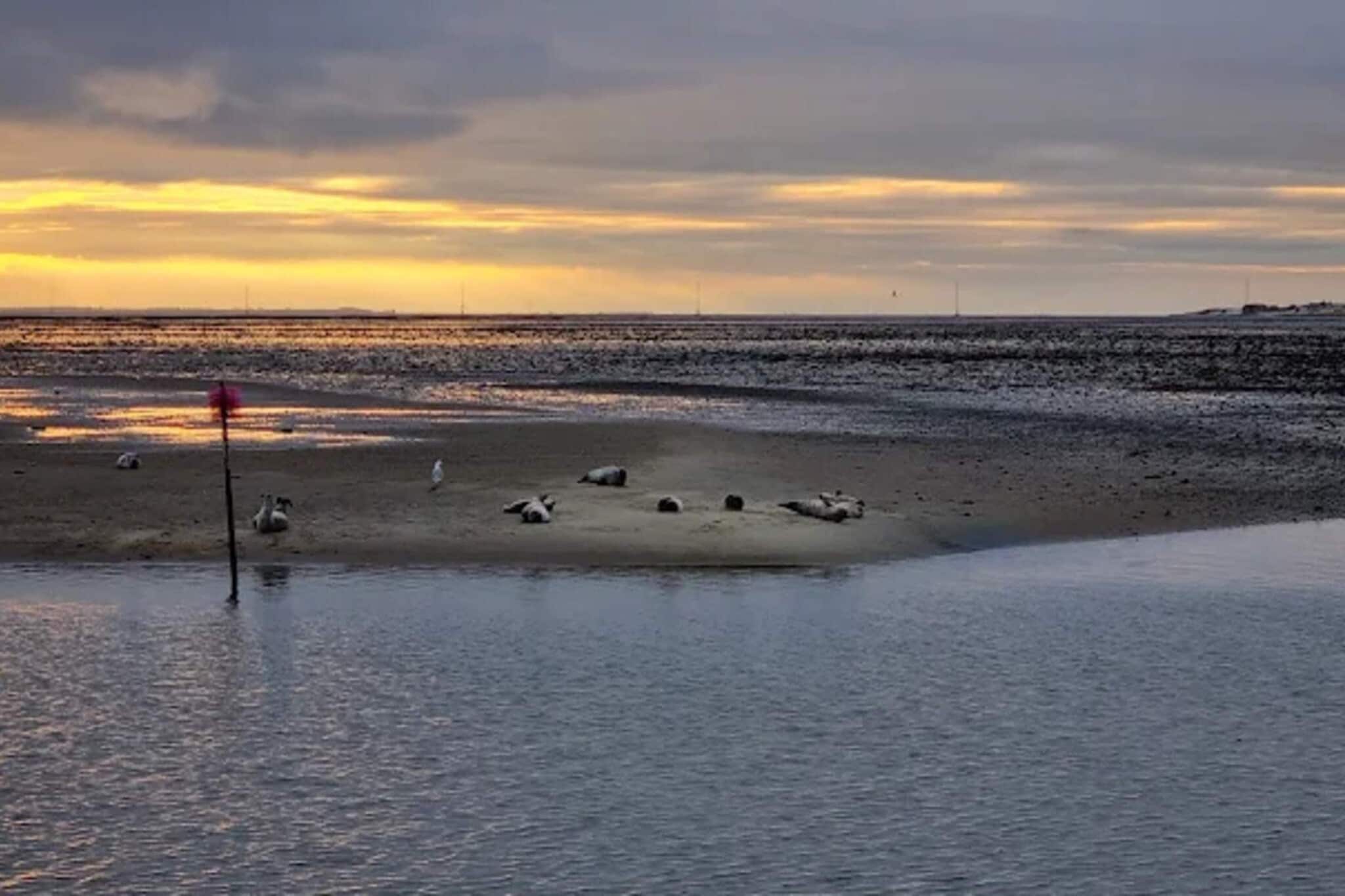 4 persoons vakantie huis in Fanø-By Traum-Waterzicht