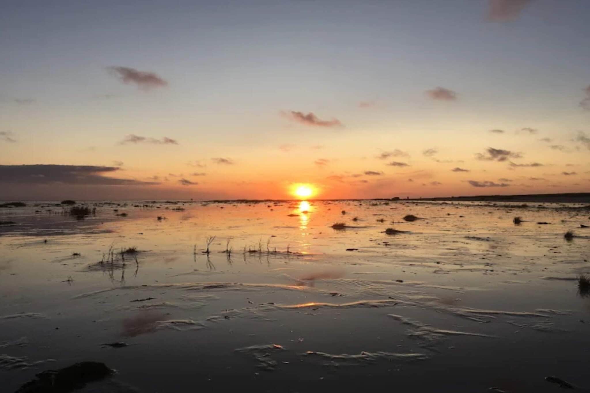 4 persoons vakantie huis in Fanø-By Traum-Waterzicht