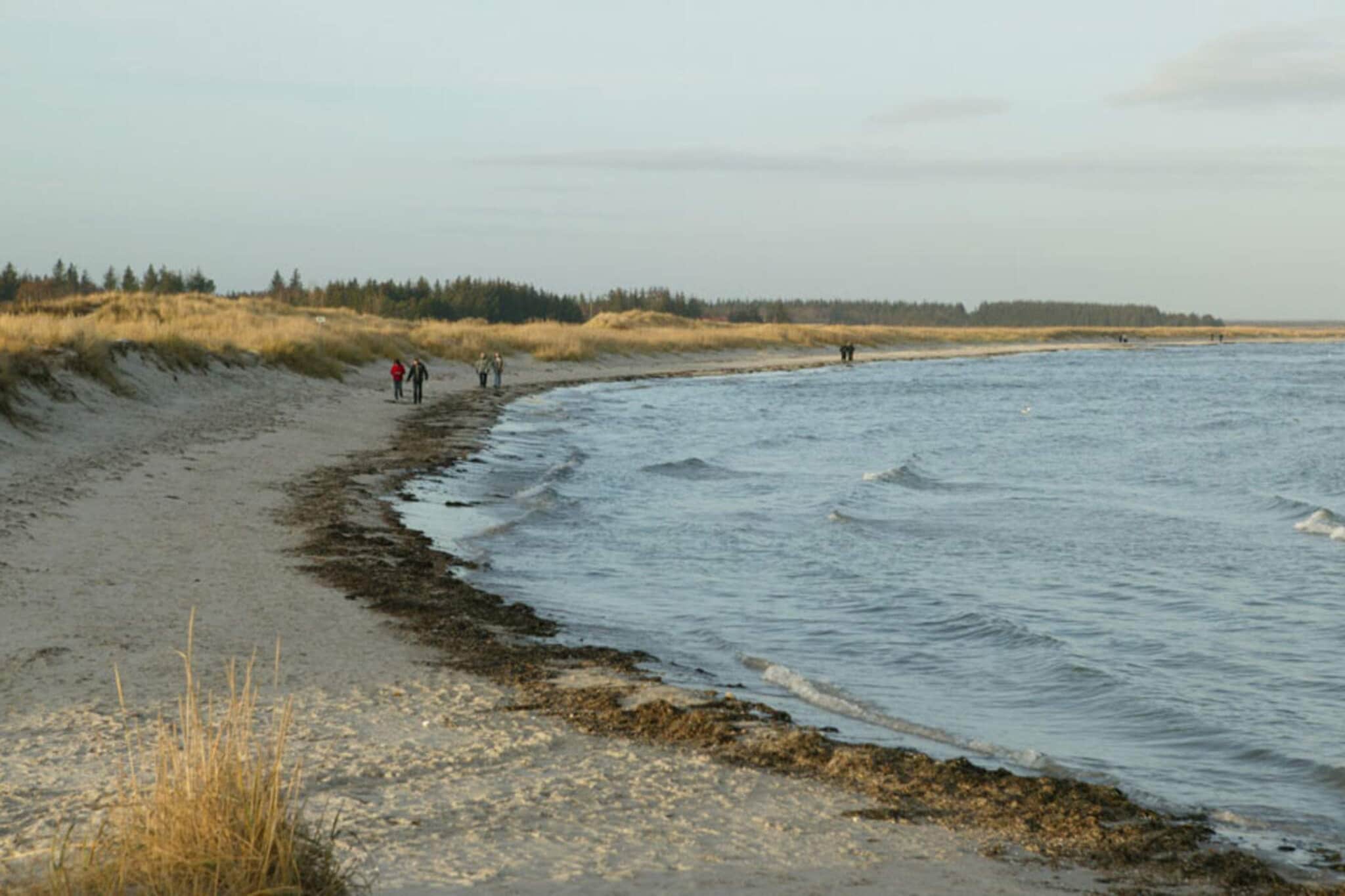 8 persoons vakantie huis in Hals-By Traum